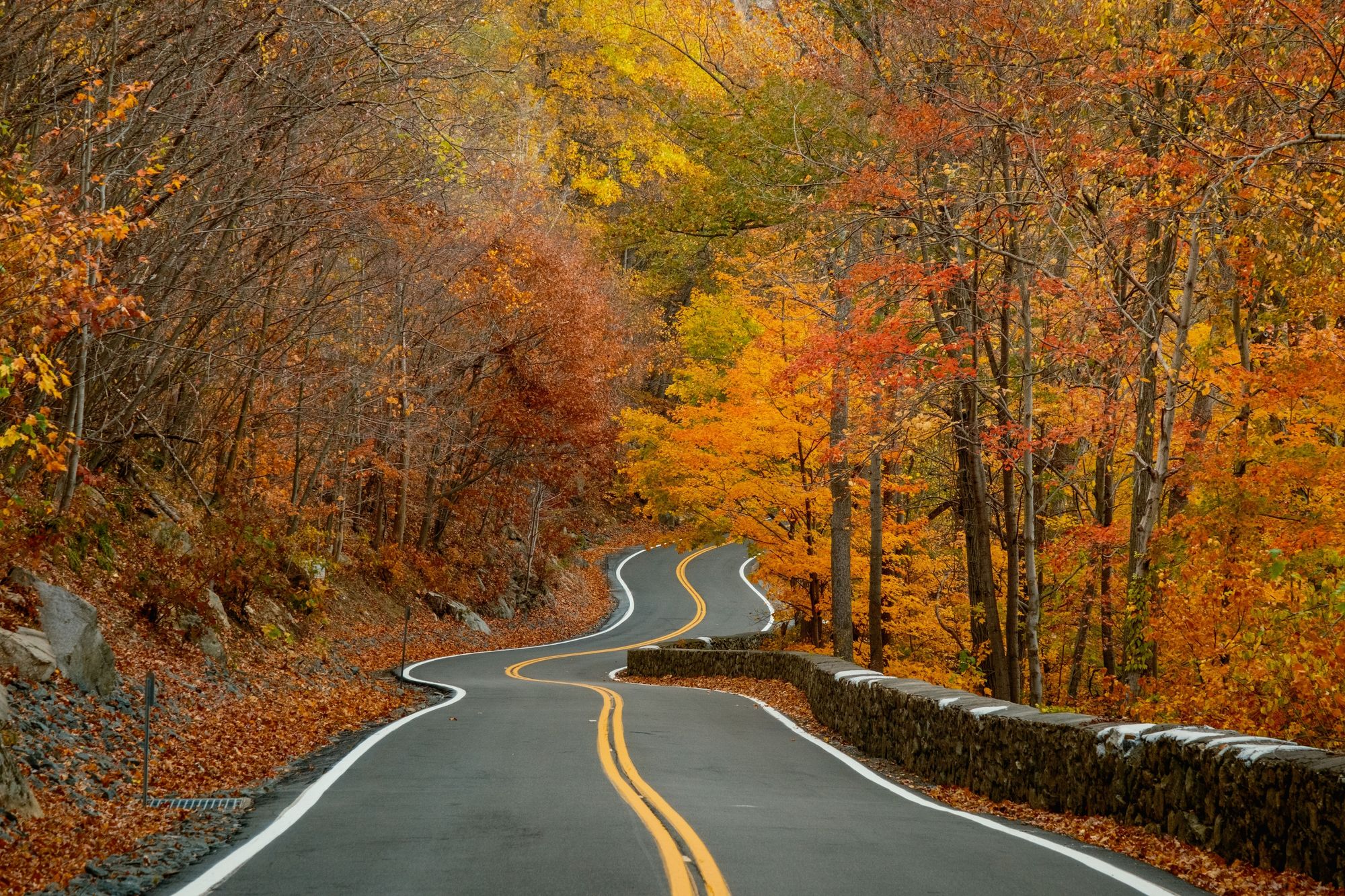 Autumn Color on Storm King Highway 01