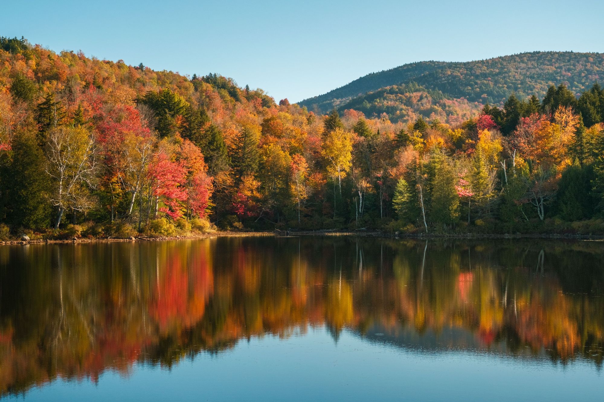 Autumn Color on Tupper Lake 03