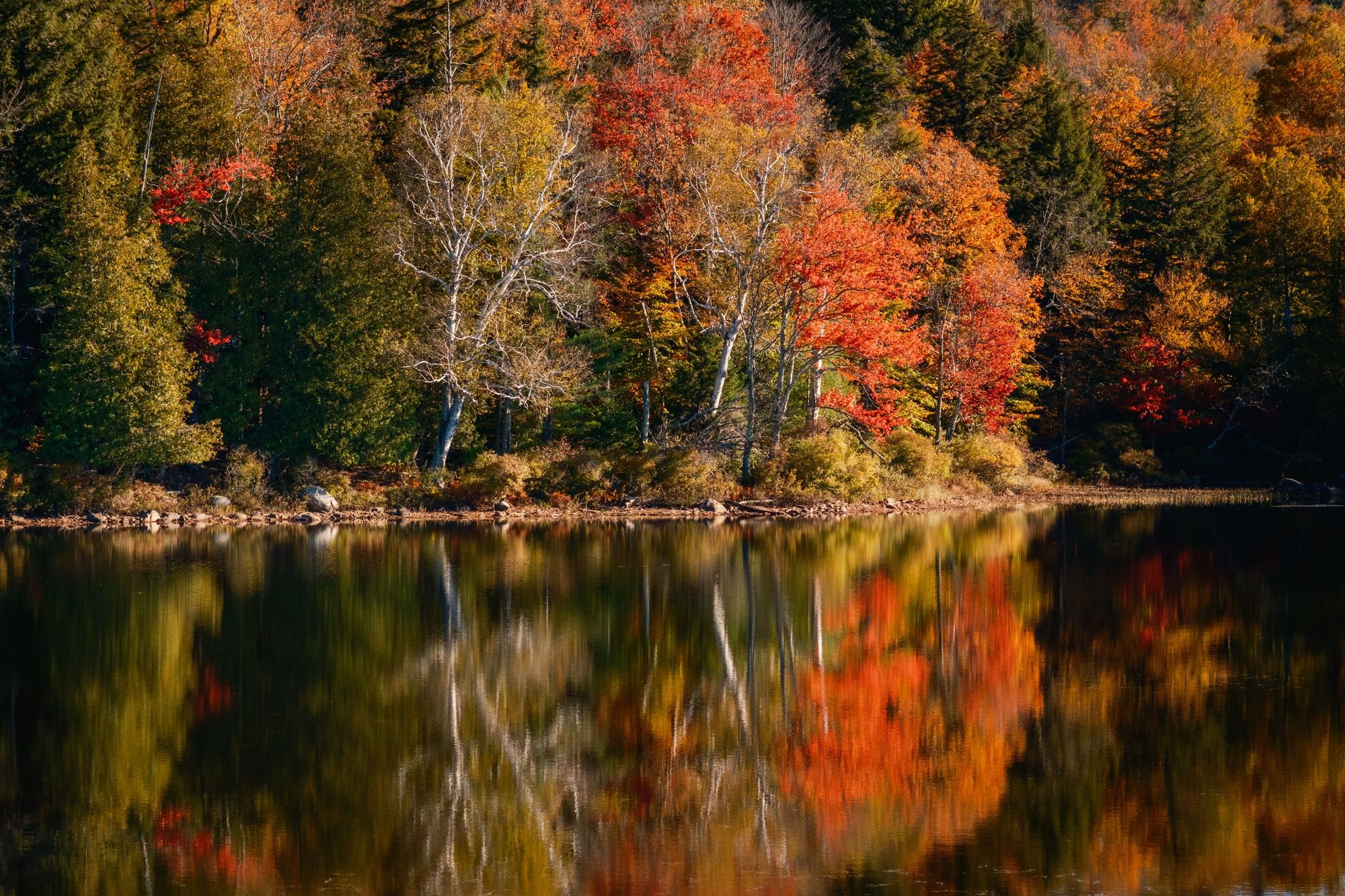 Autumn Color on Tupper Lake 01