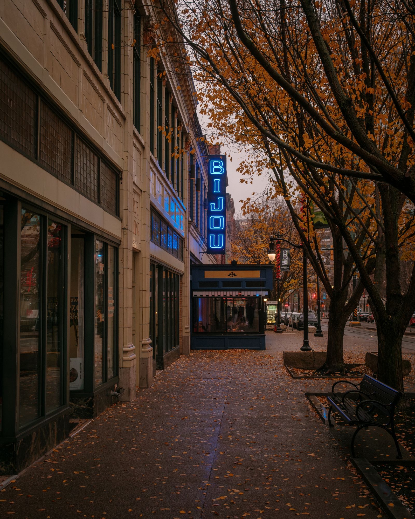 Autumn Color & The Bijou, Buffalo