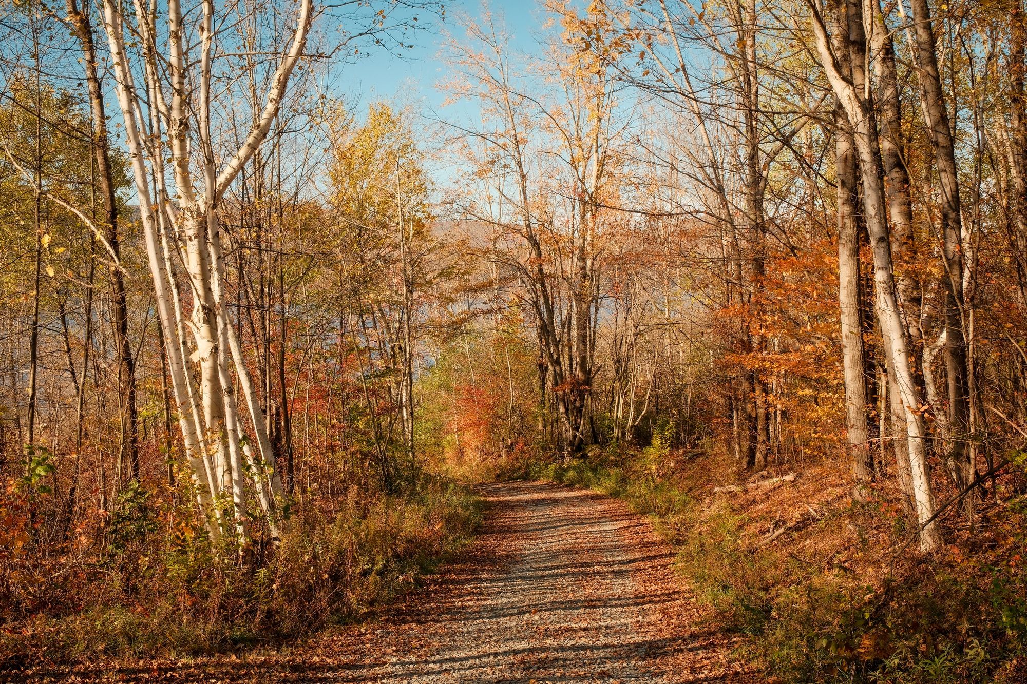 Autumn at Cannonsville Reservoir