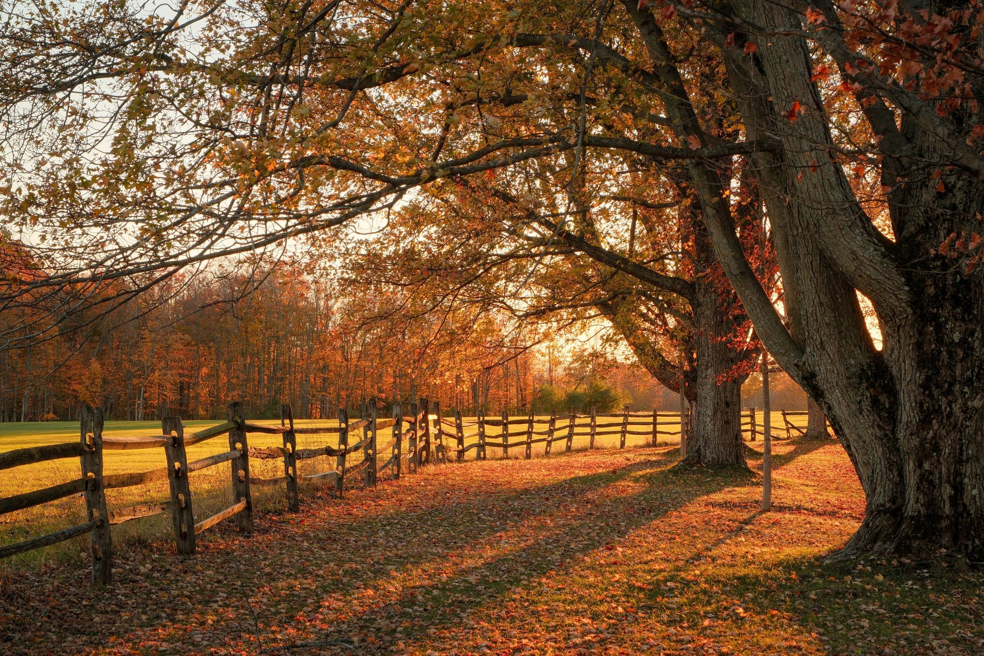 Autumn at Knox Farm