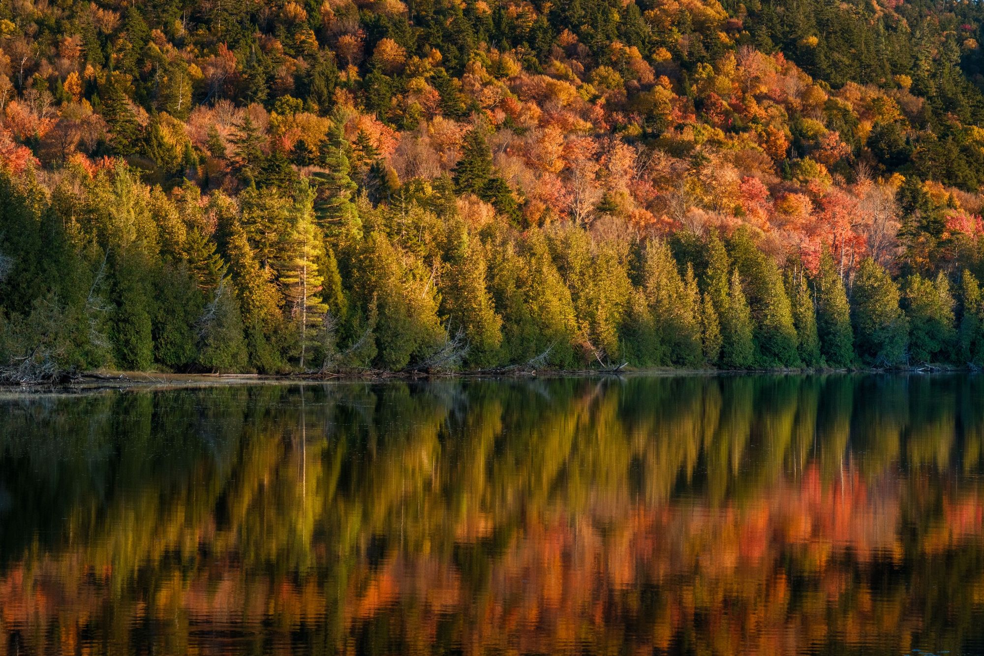 Autumn at Owen Pond, Adirondack Mountains 02