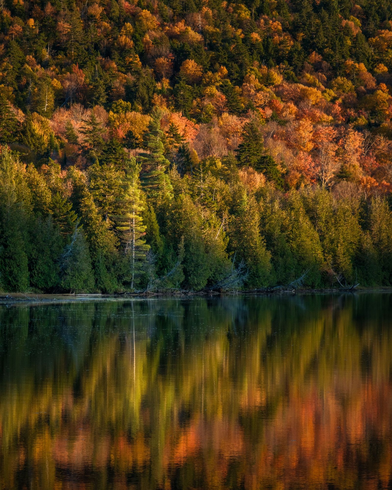 Autumn at Owen Pond, Adirondack Mountains 01