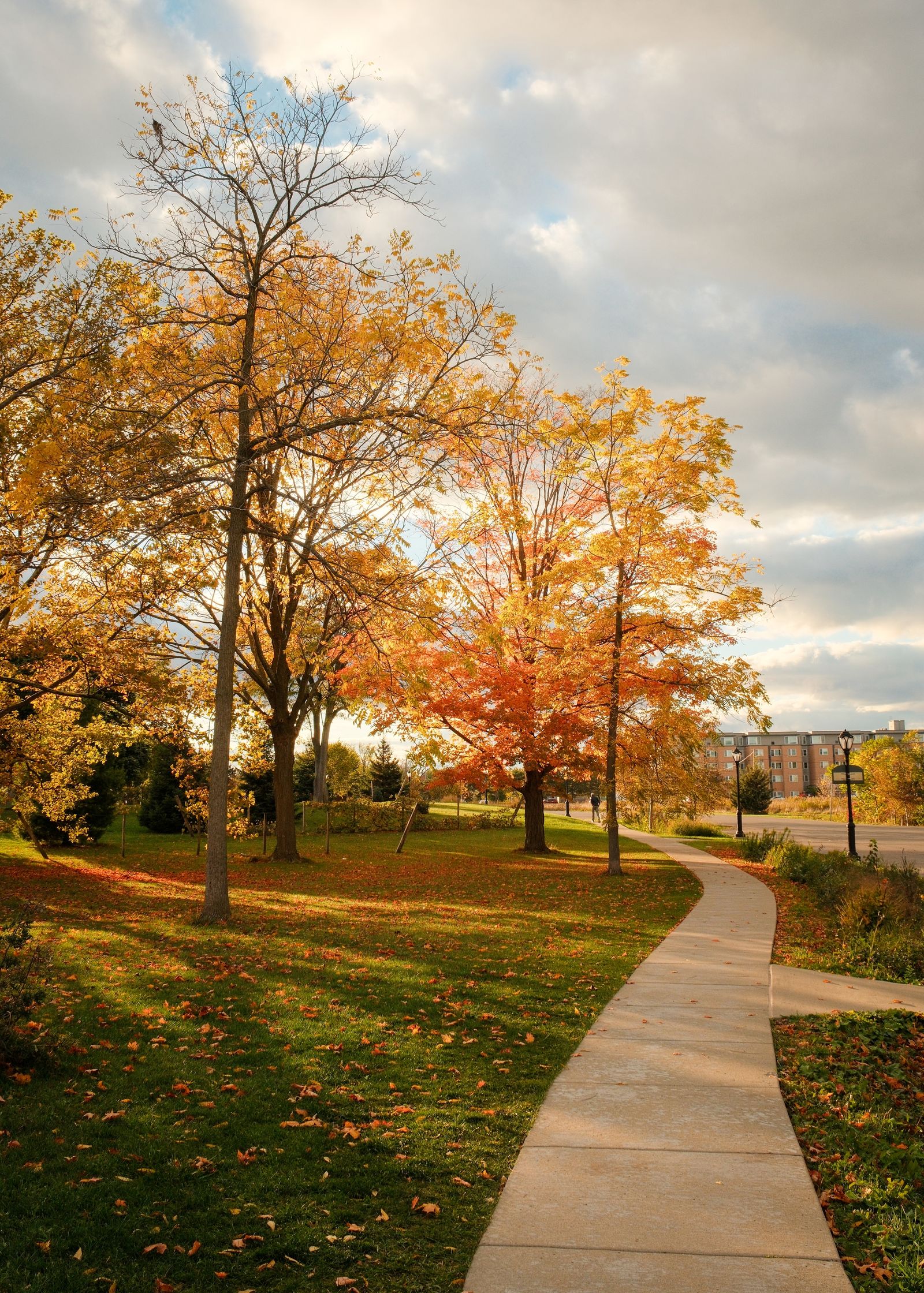 Autumn at Richardson Olmsted Campus, Buffalo