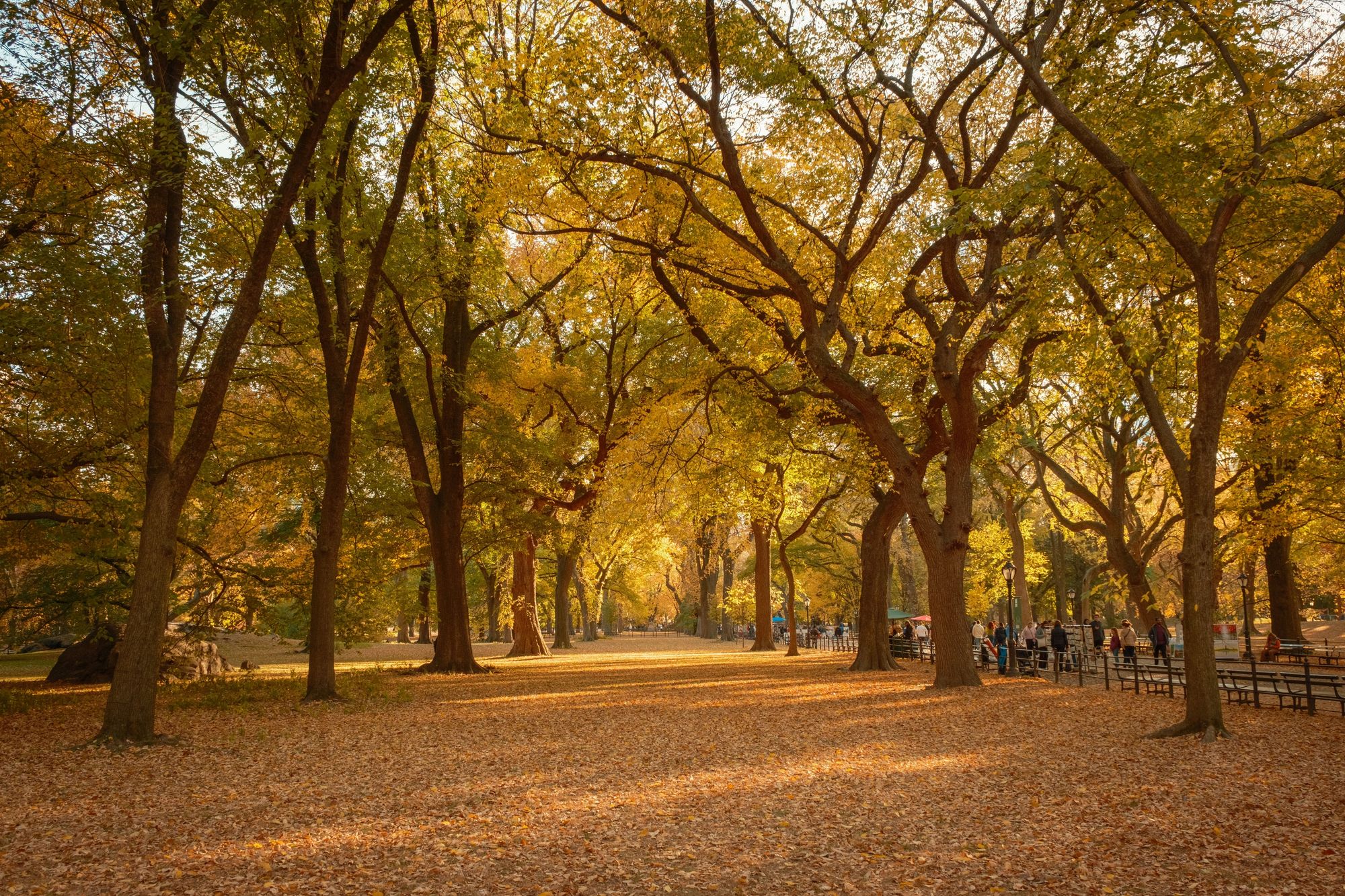 Autumn in Central Park, New York 03