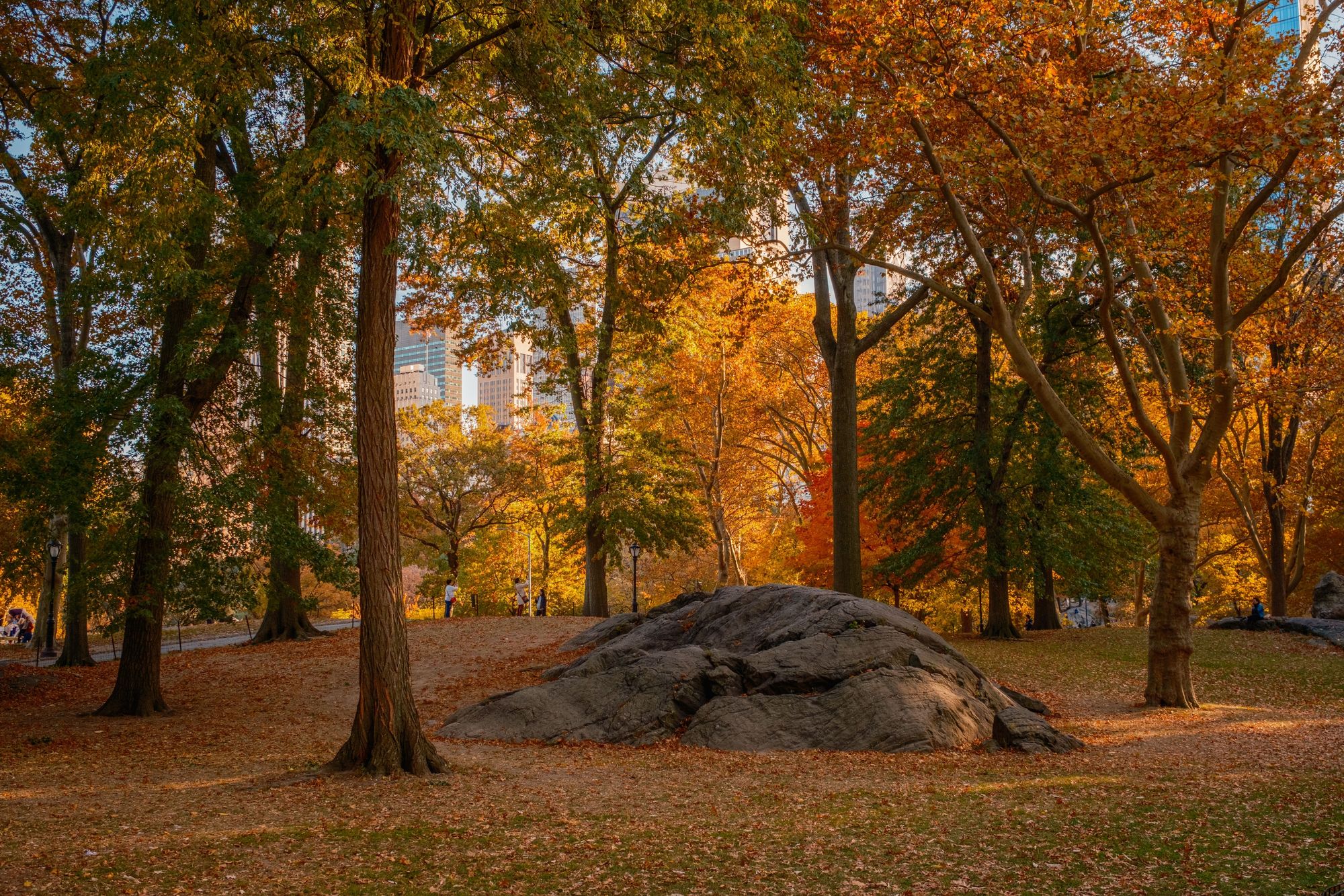 Autumn in Central Park, New York