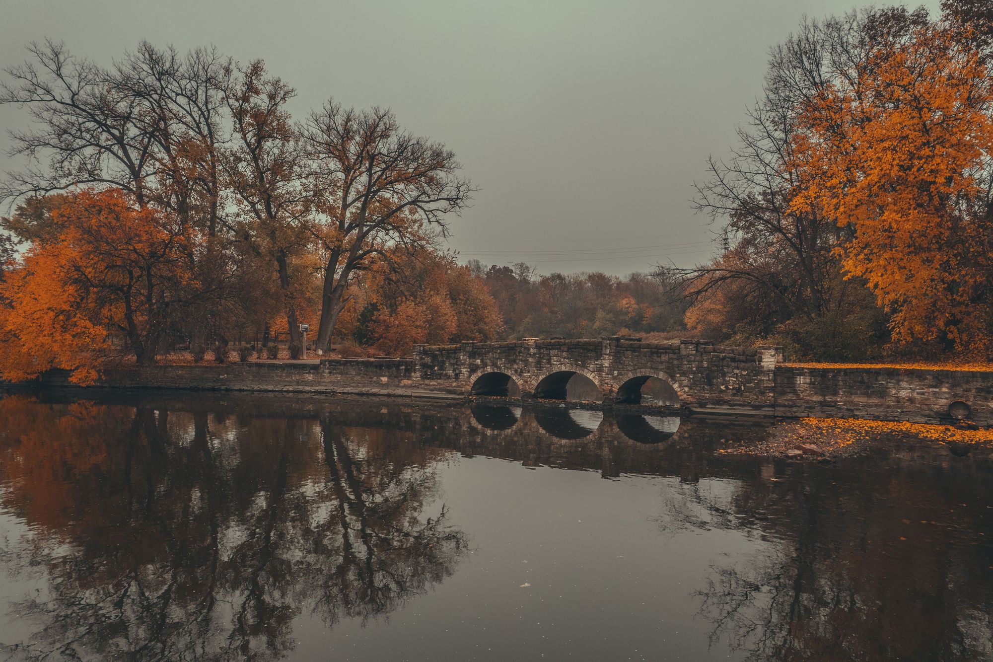Autumn in Island Park