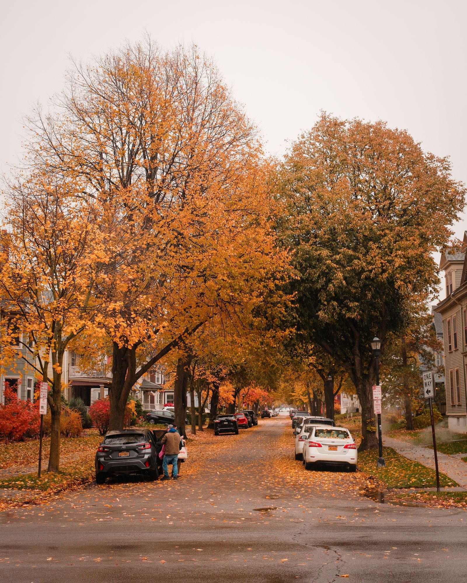 Autumn on Anderson Place, Buffalo