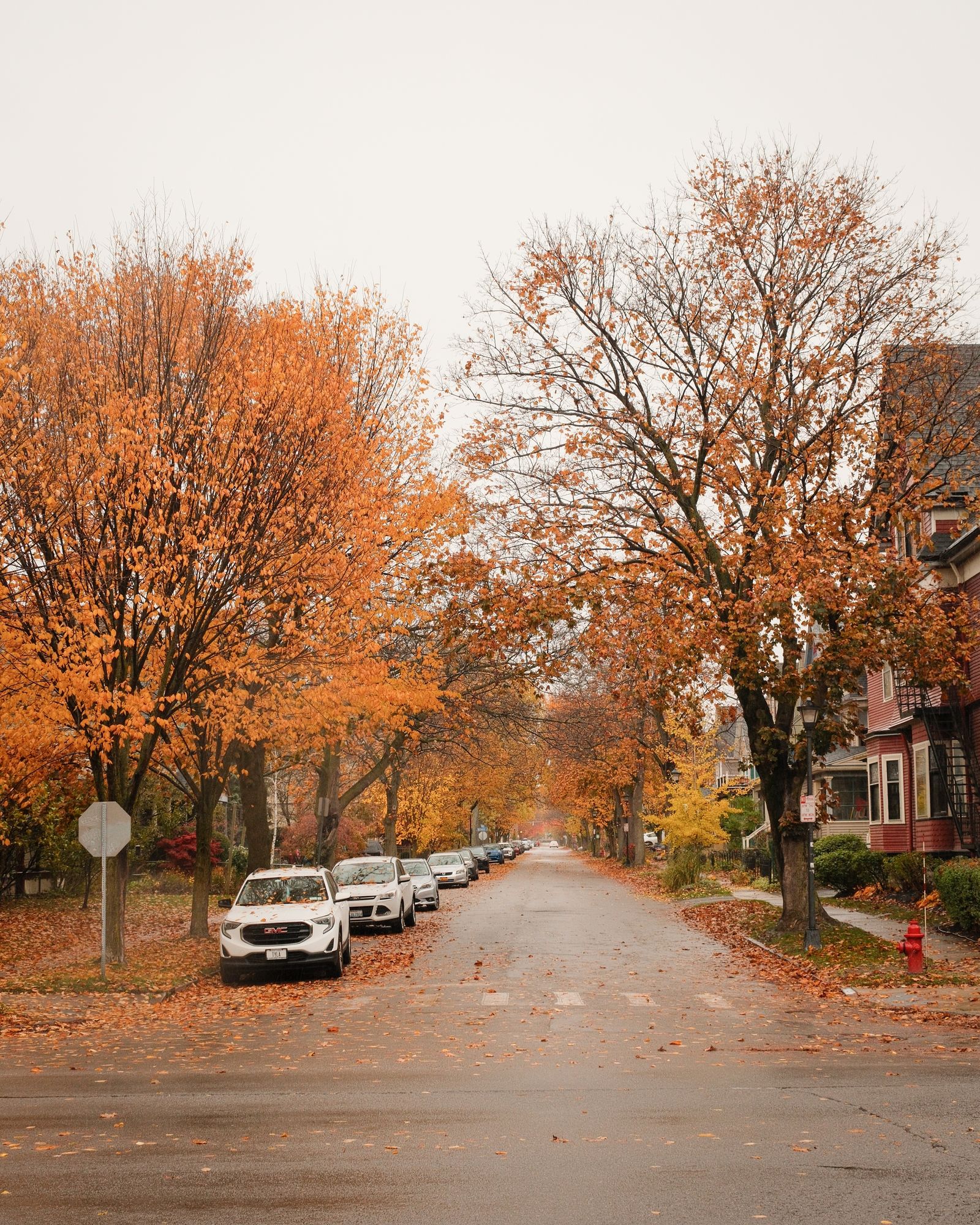 Autumn on Lexington Ave, Buffalo
