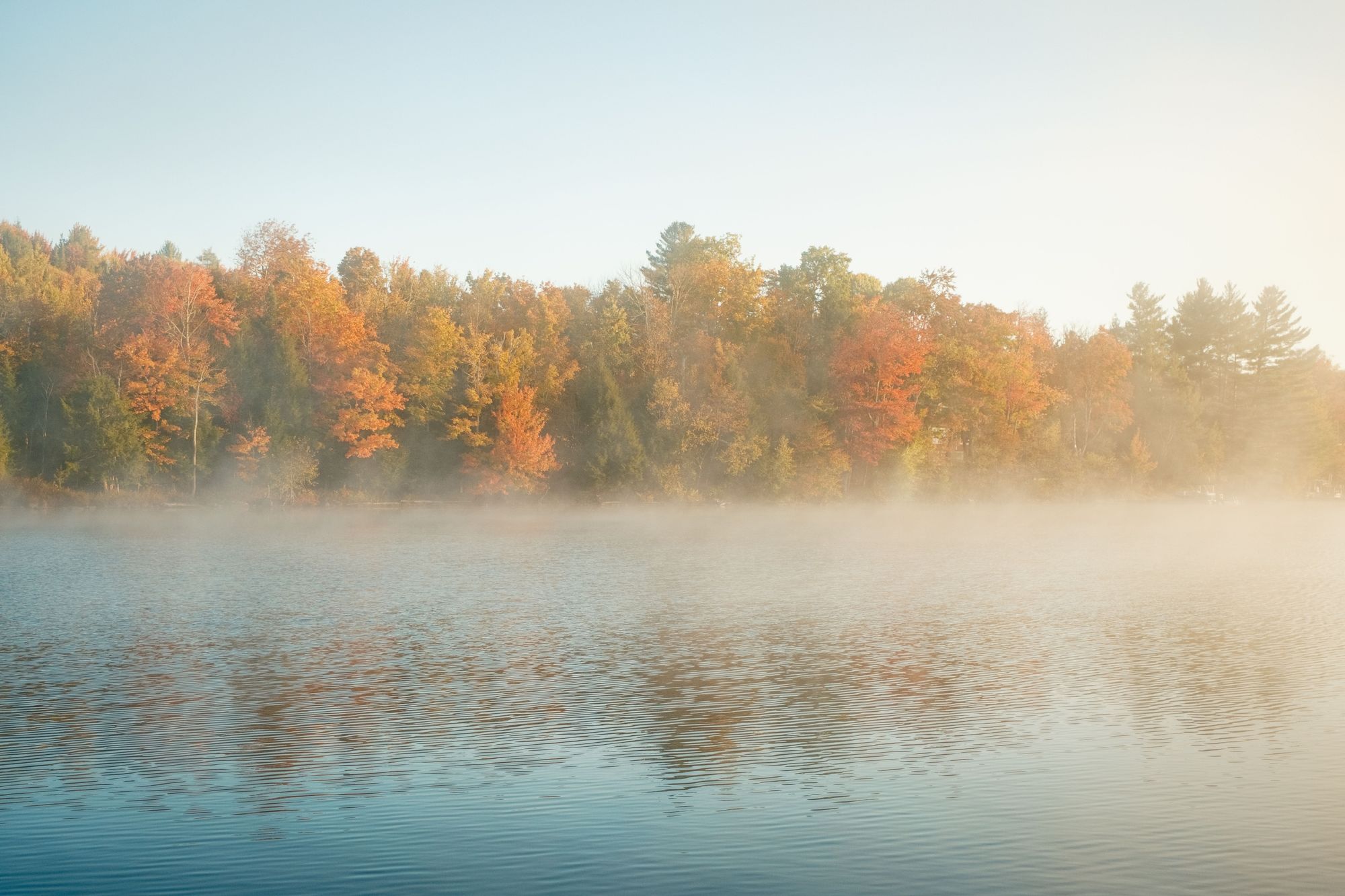 Autumn Morning at Cranberry Lake 01