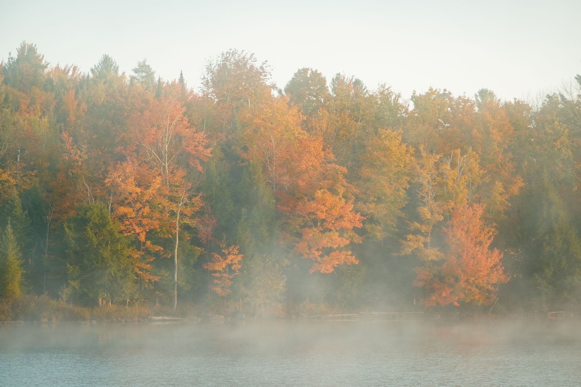 Autumn Morning at Cranberry Lake 02
