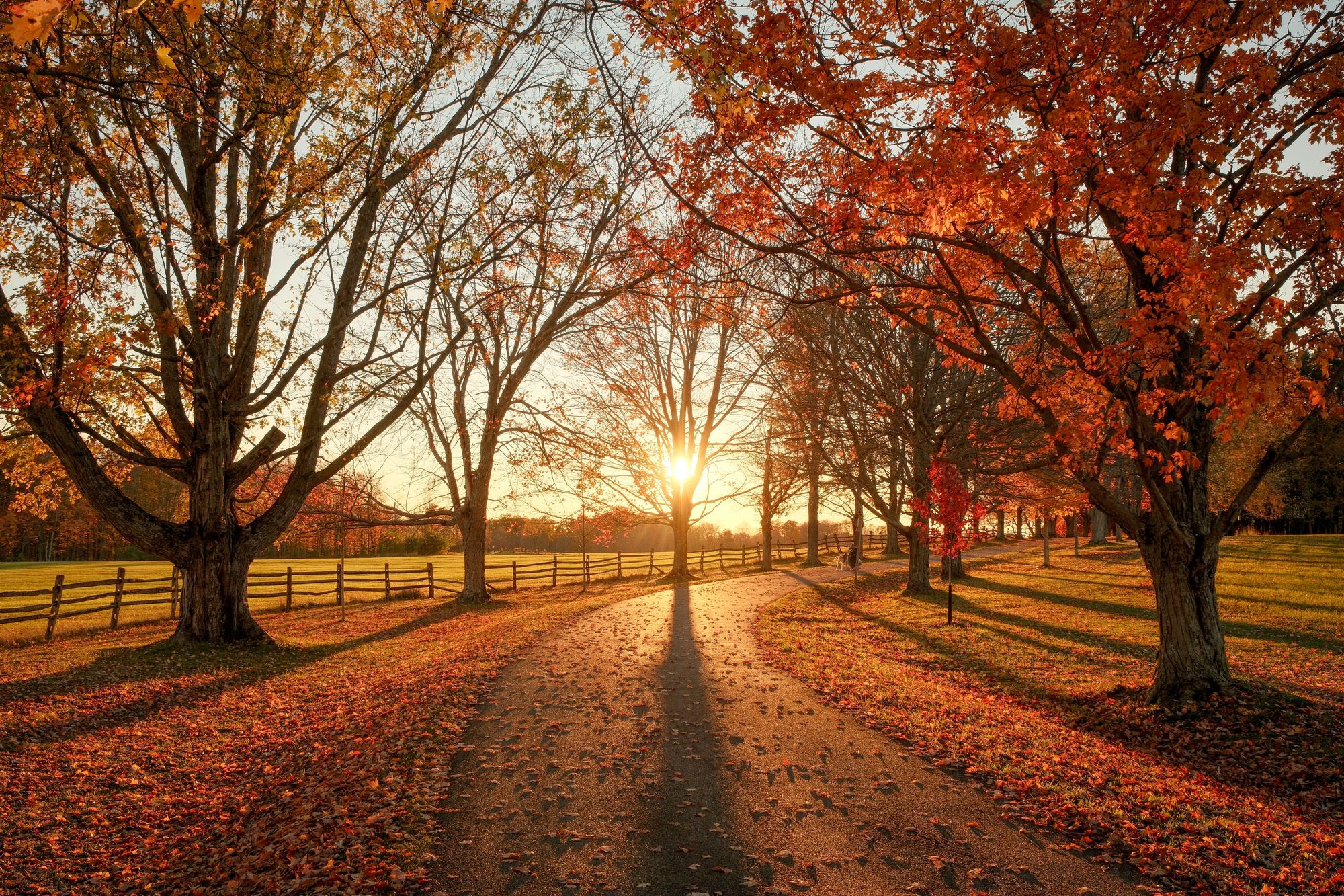 Autumn Sunset, Knox Farm 02