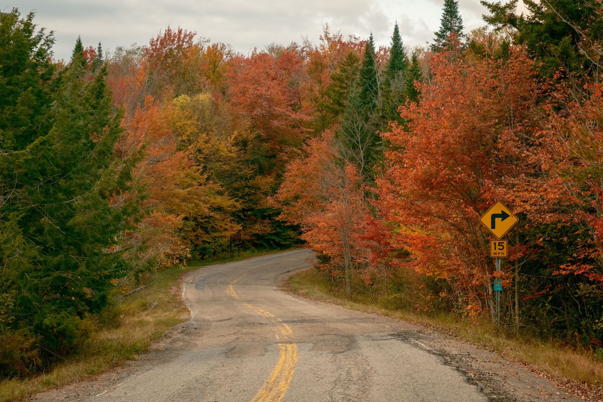 Autumn Road, Horseshoe Lake