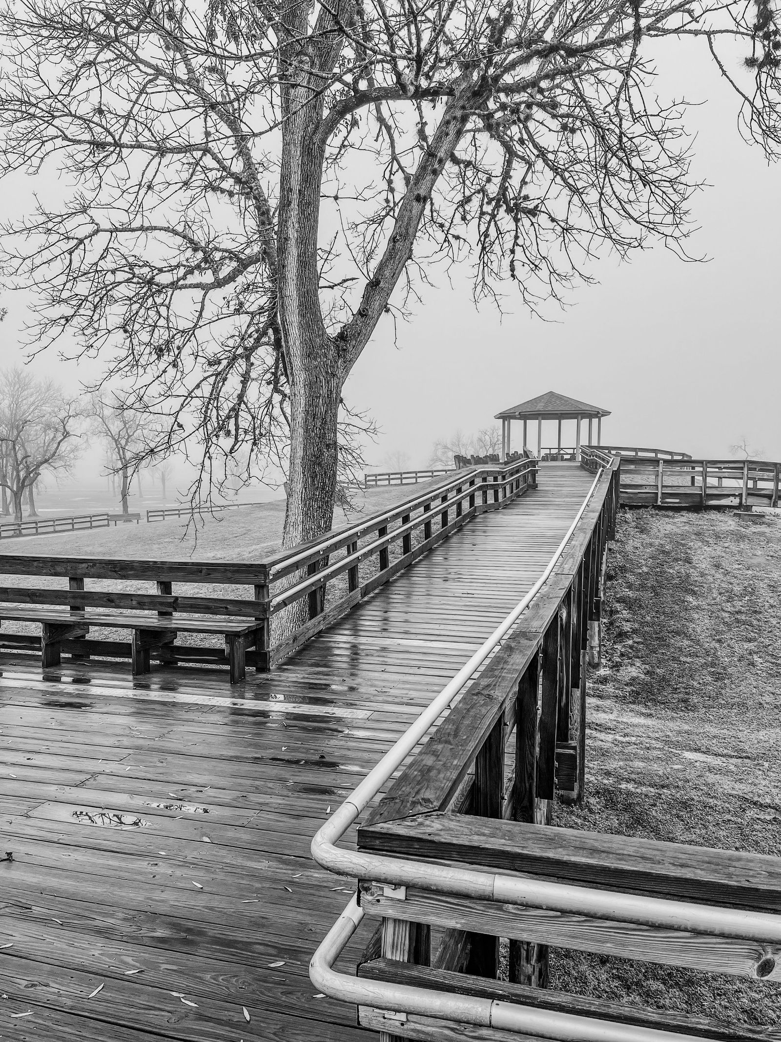 Band Stand at Tom Bass Park