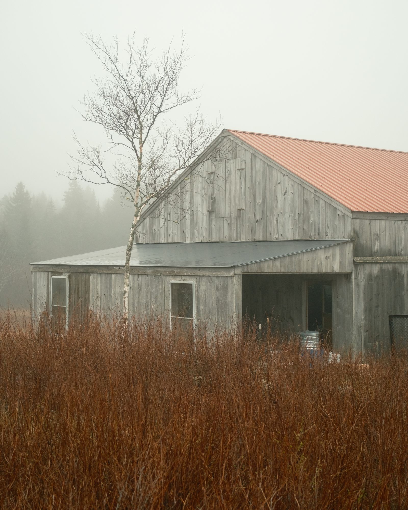 Barn in Fog, Beals Island 02
