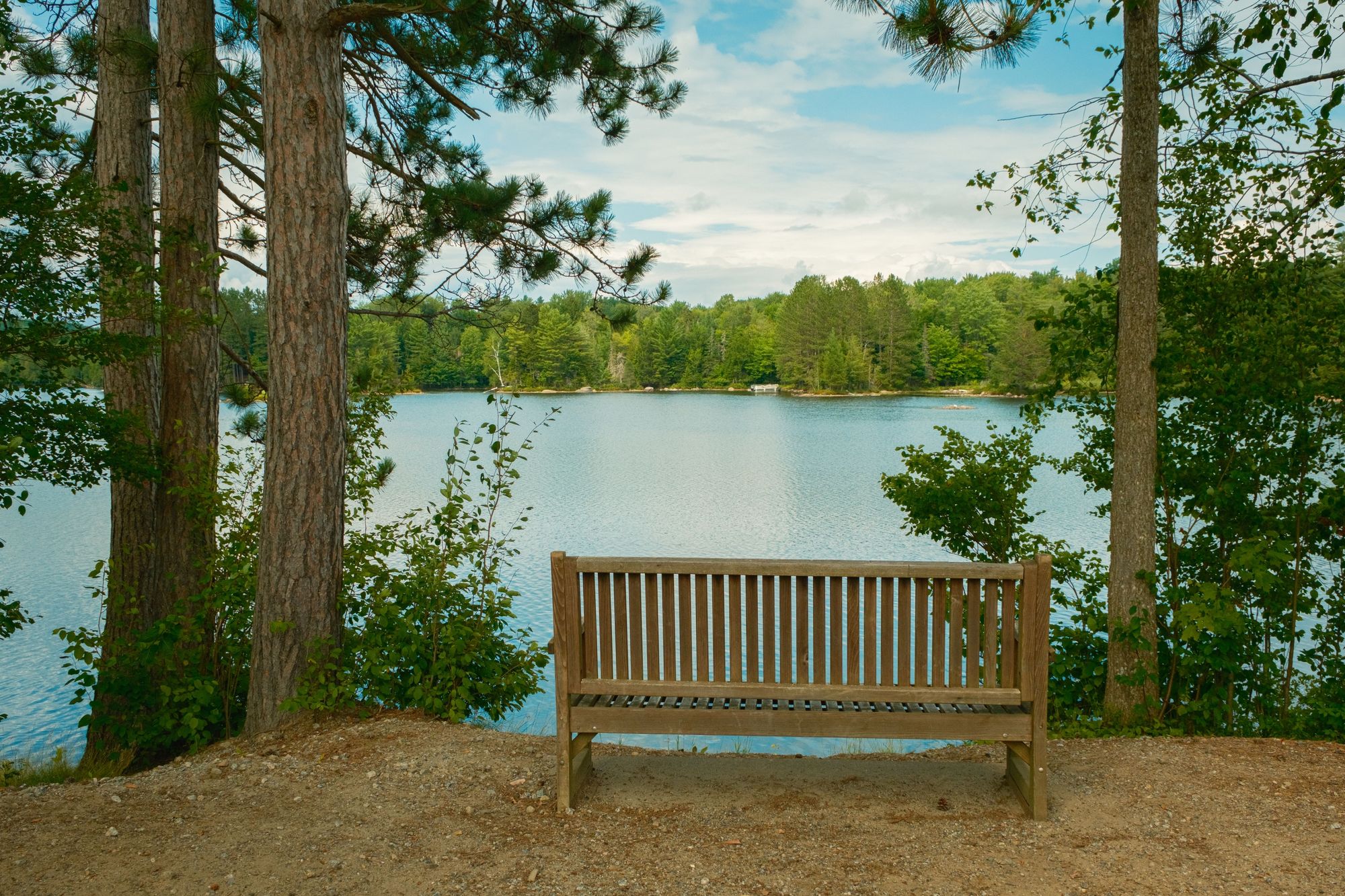 Bench at Adirondack Lake