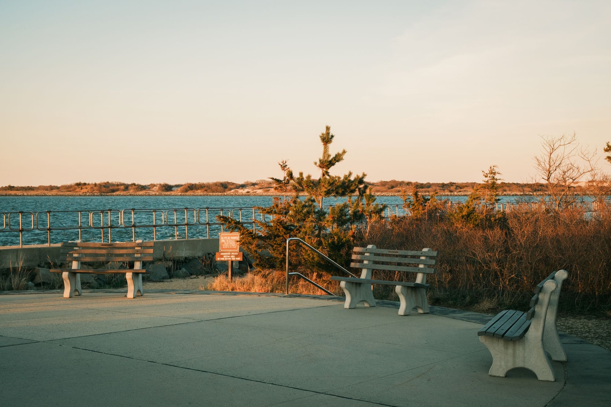 Benches, Barnegat Light