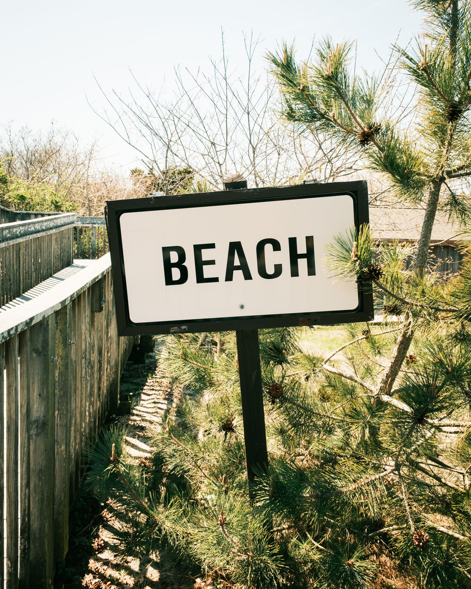 Beach, Cape May Point 02