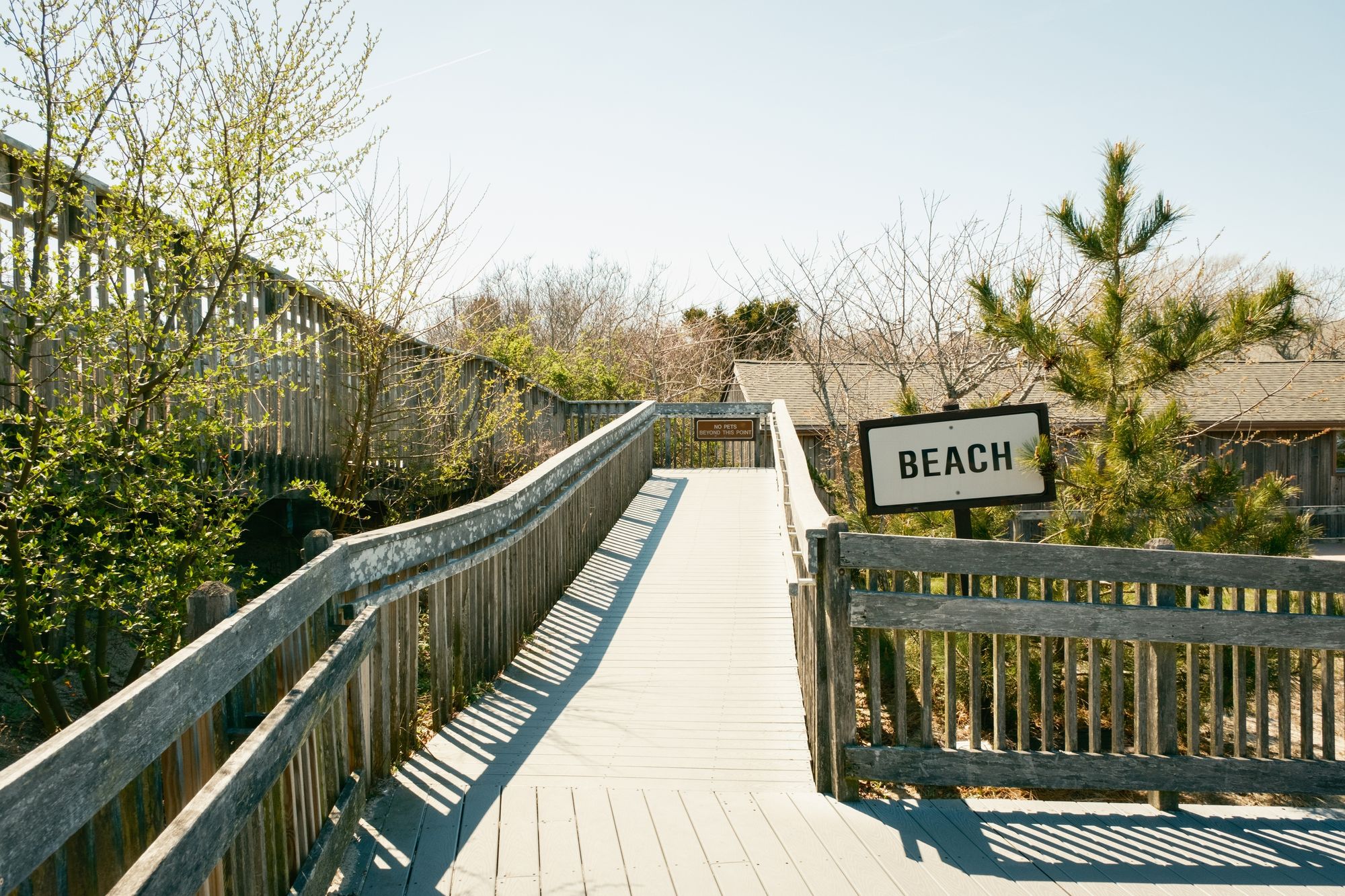 Beach, Cape May Point 01