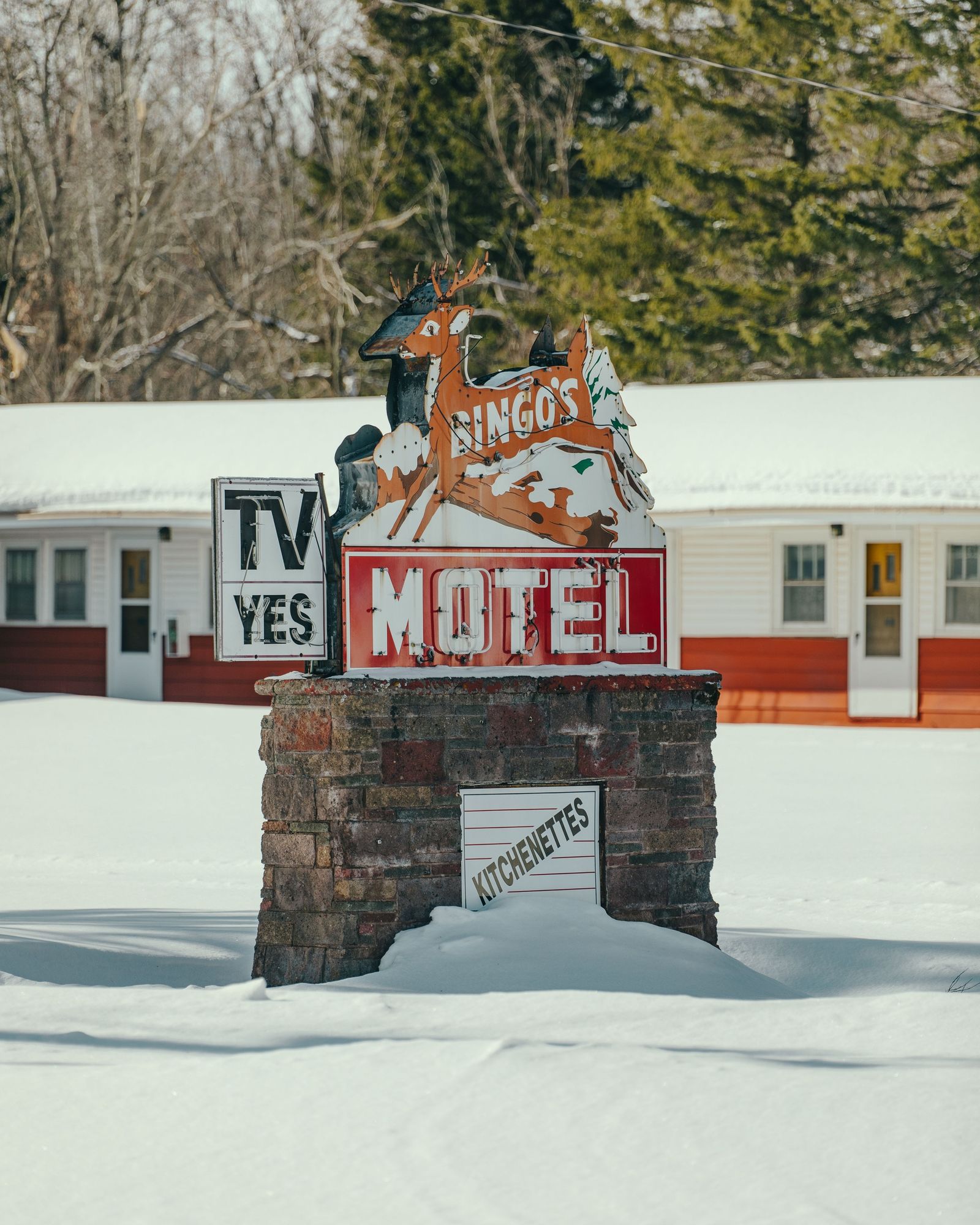 Bingo's Motel 01