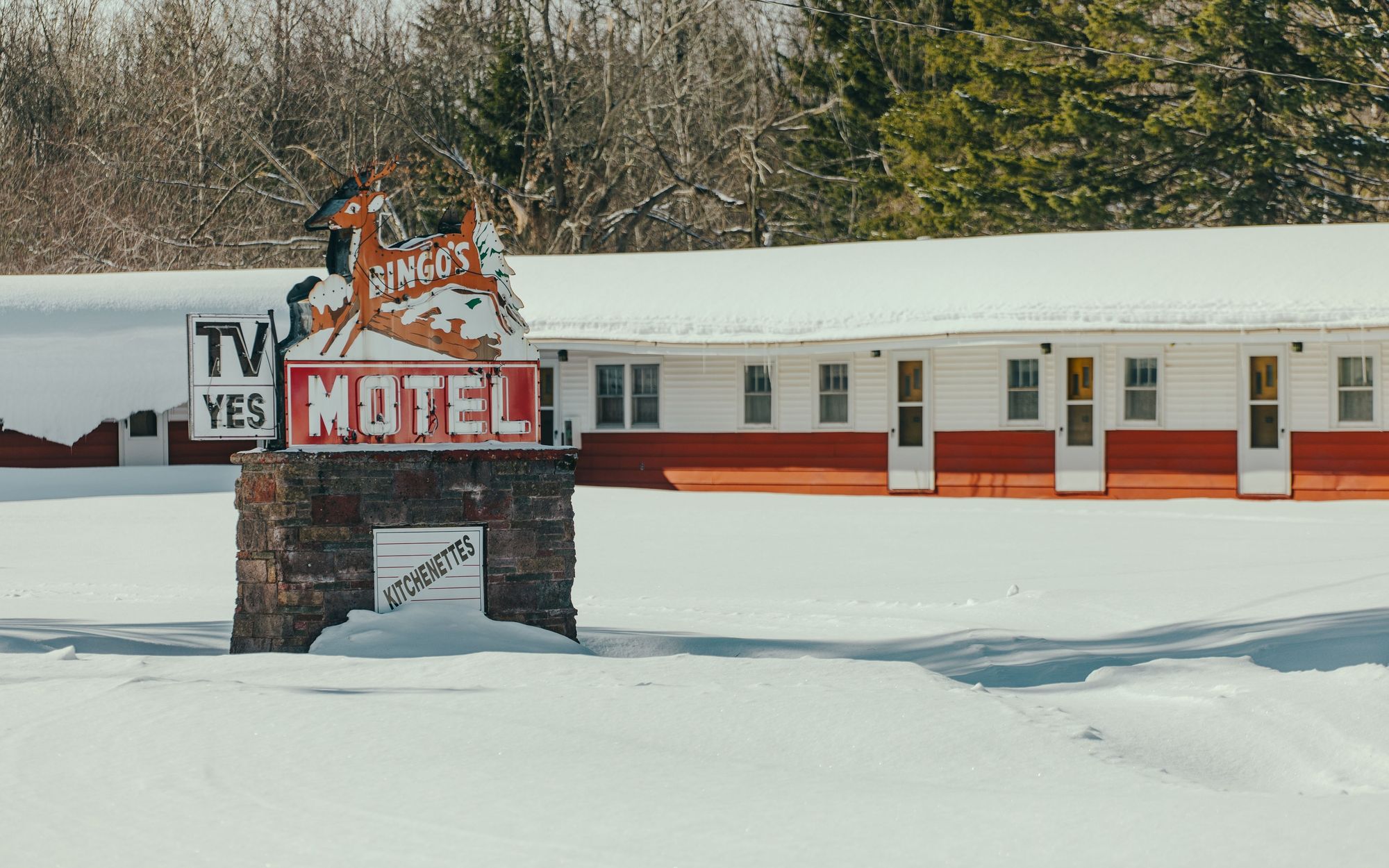 Bingo's Motel 02