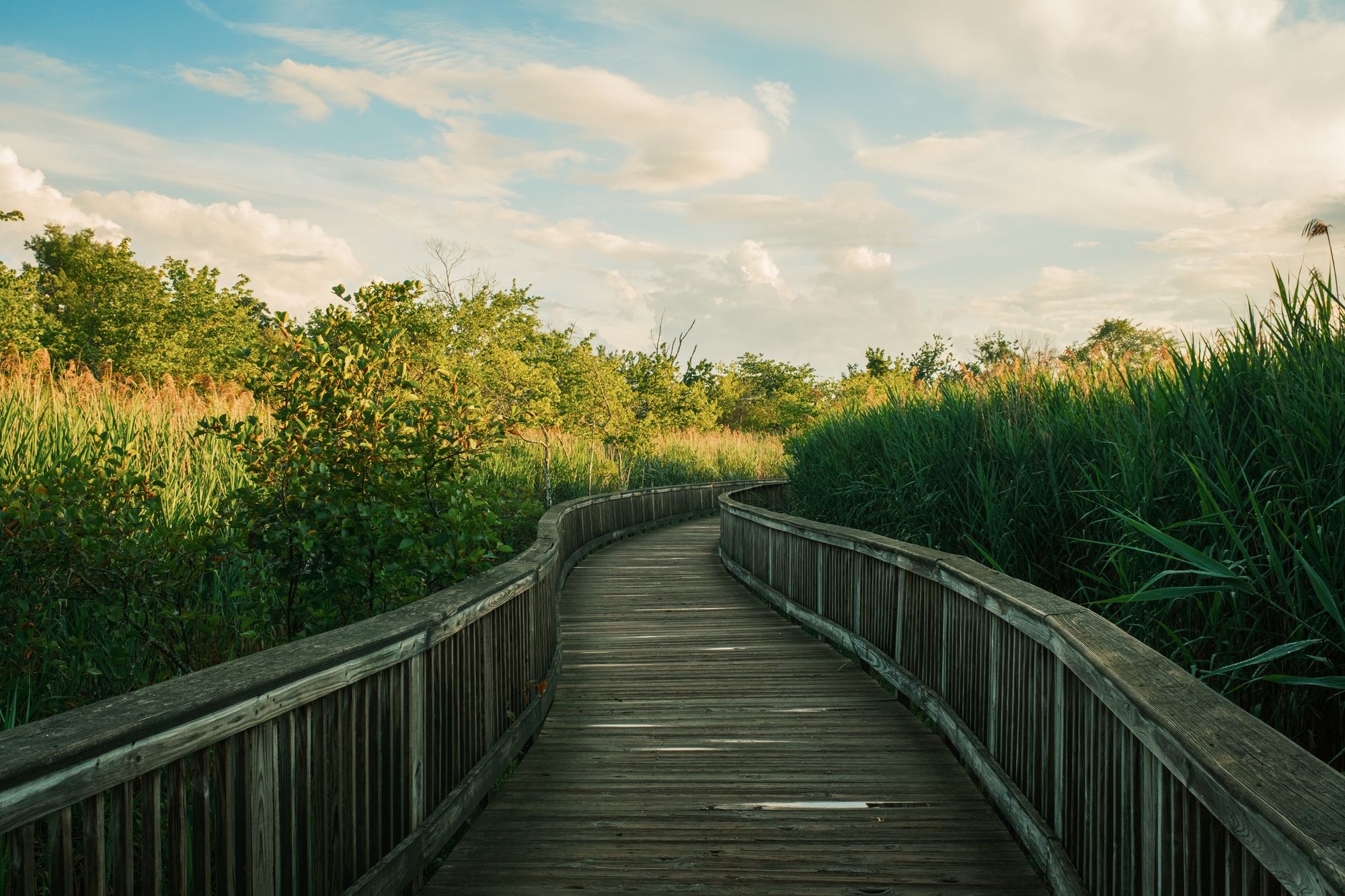 Boardwalk, Bristol
