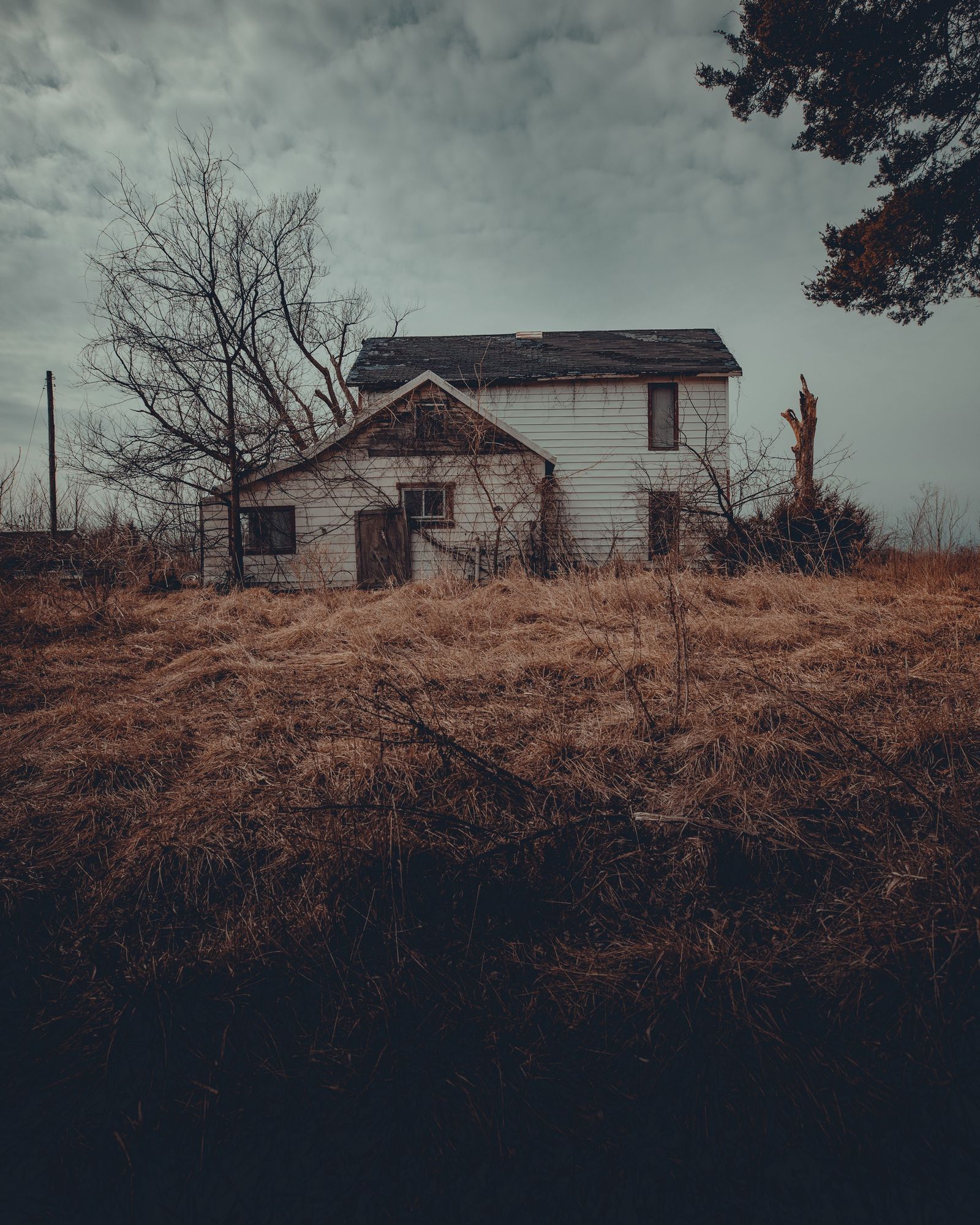 Bloods Point House