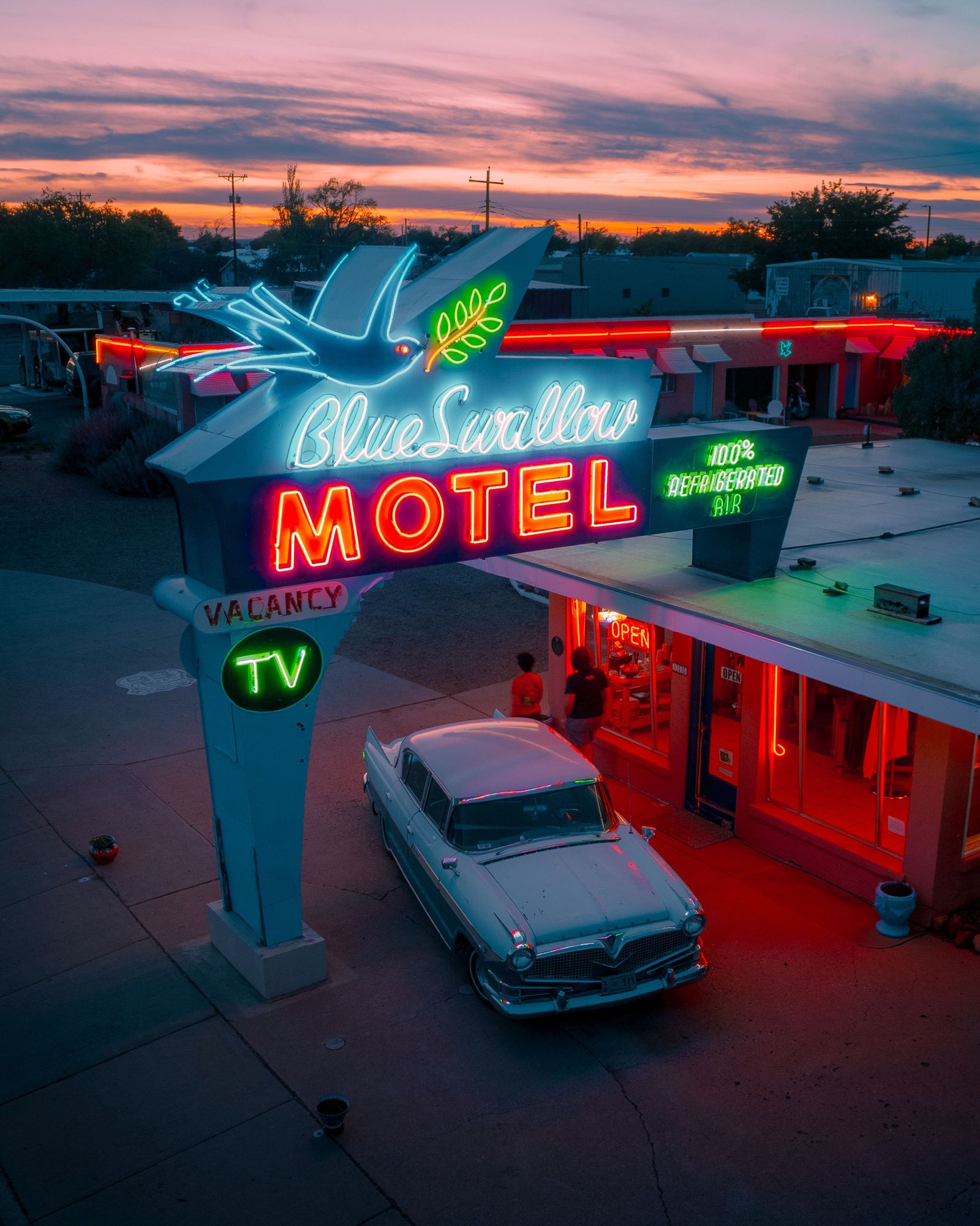 Blue Swallow Sunset 03