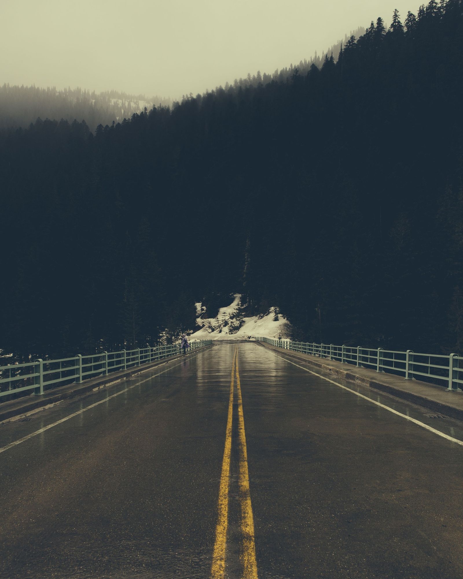 Bridge at Mount Rainier