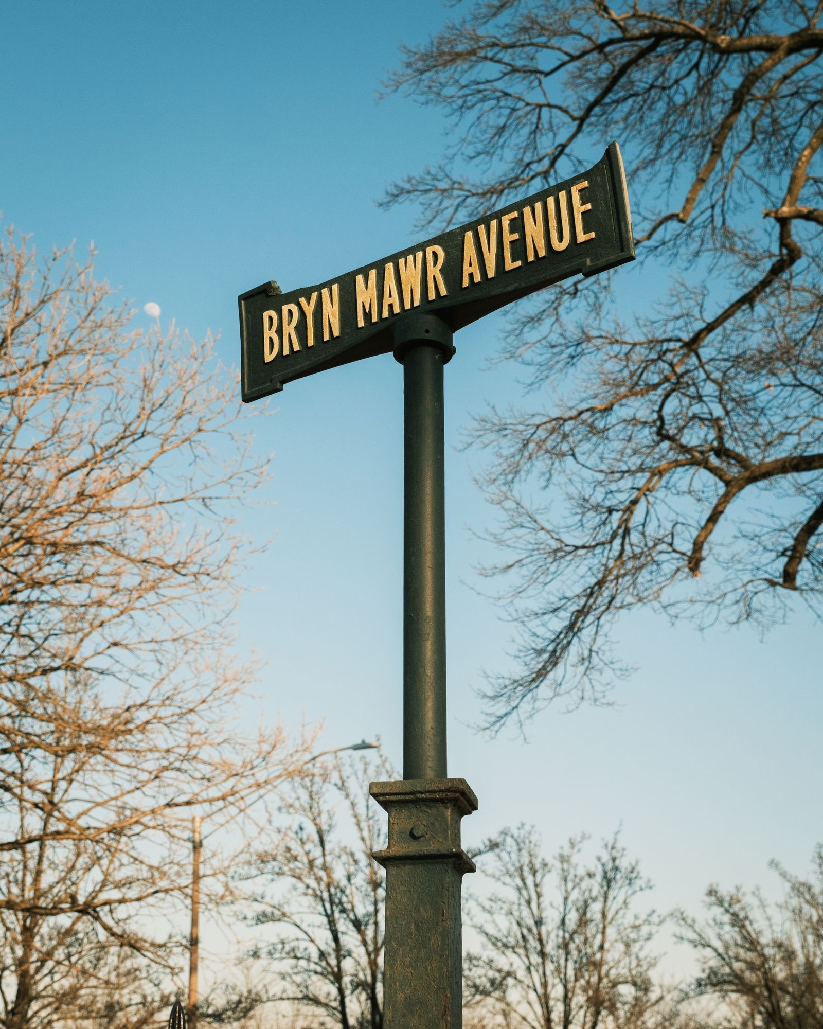 Bryn Mawr Avenue