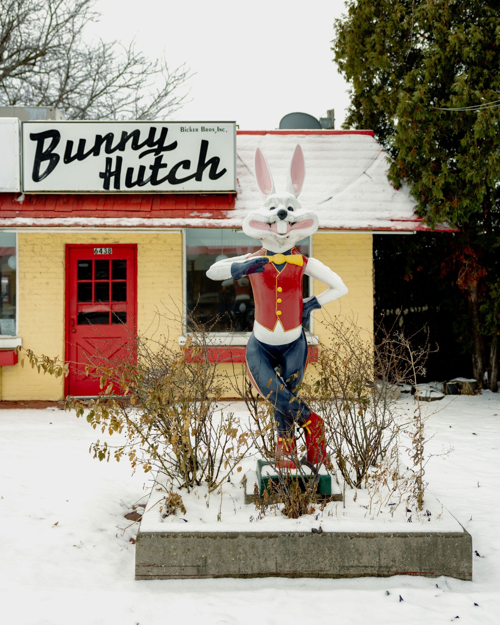 Bunny Hutch 01