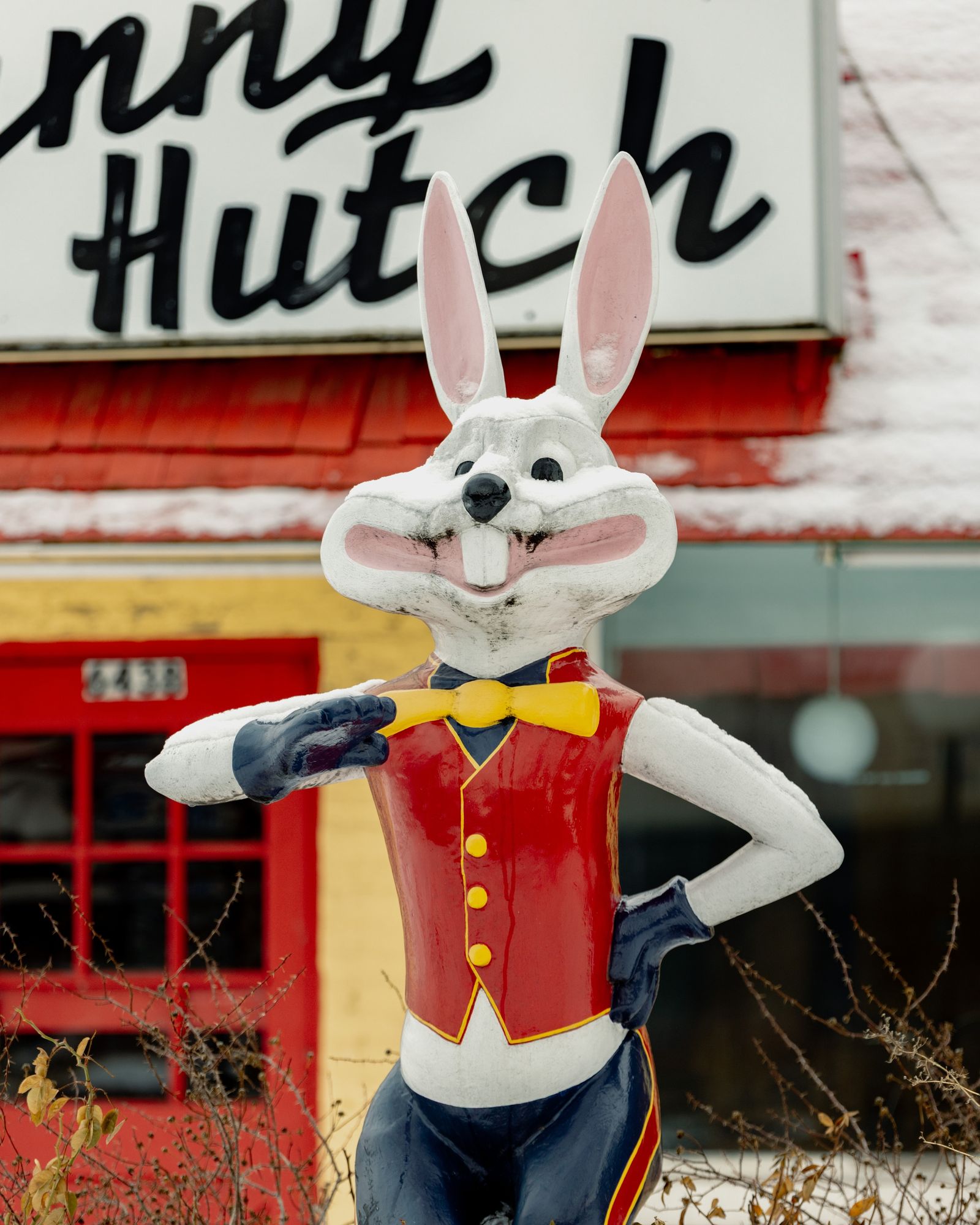 Bunny Hutch 02