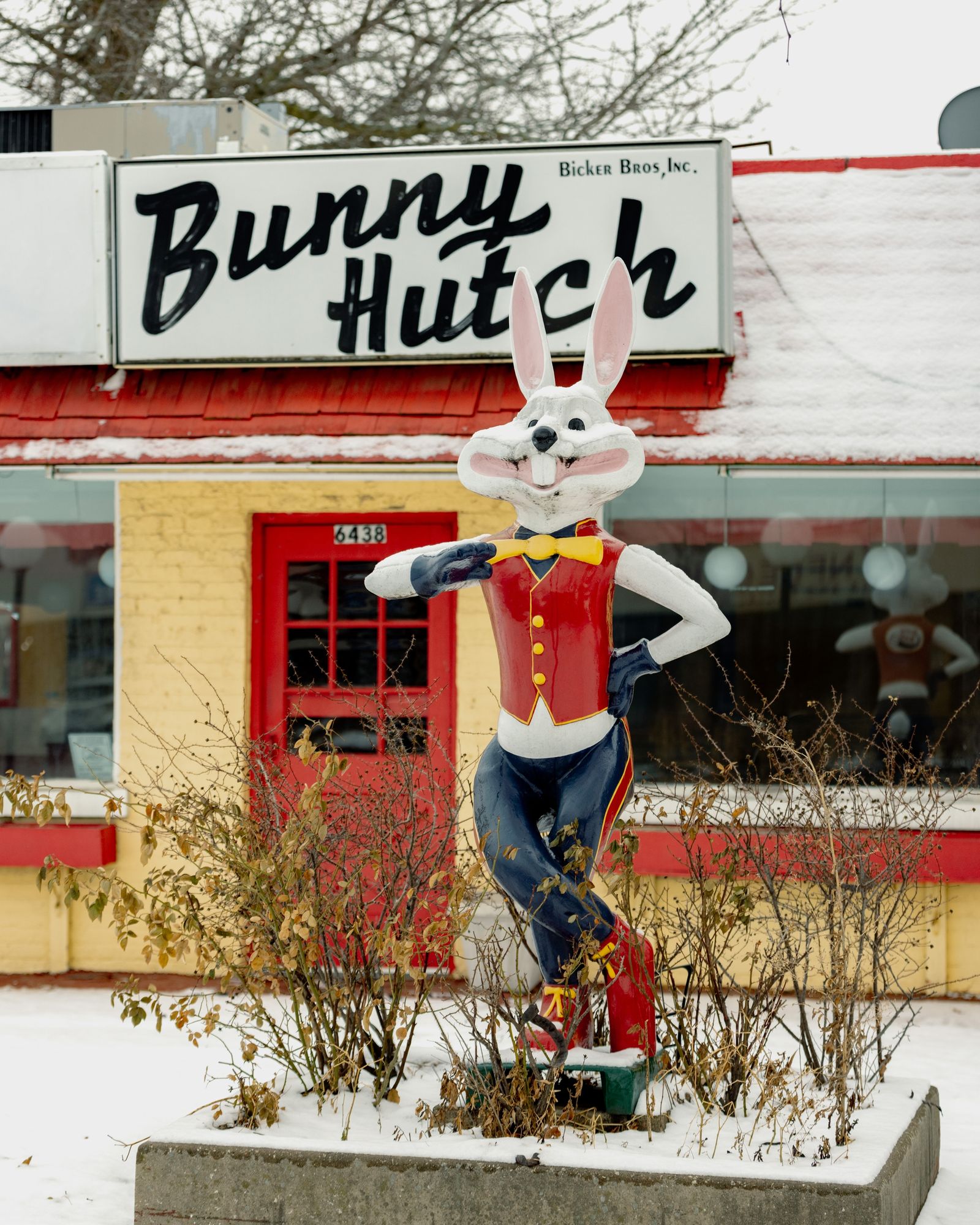 Bunny Hutch 05