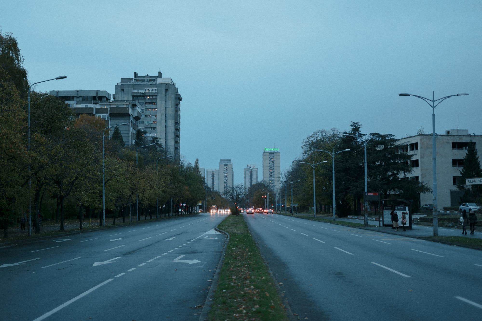 Bulevar Nikole Tesle, Belgrade