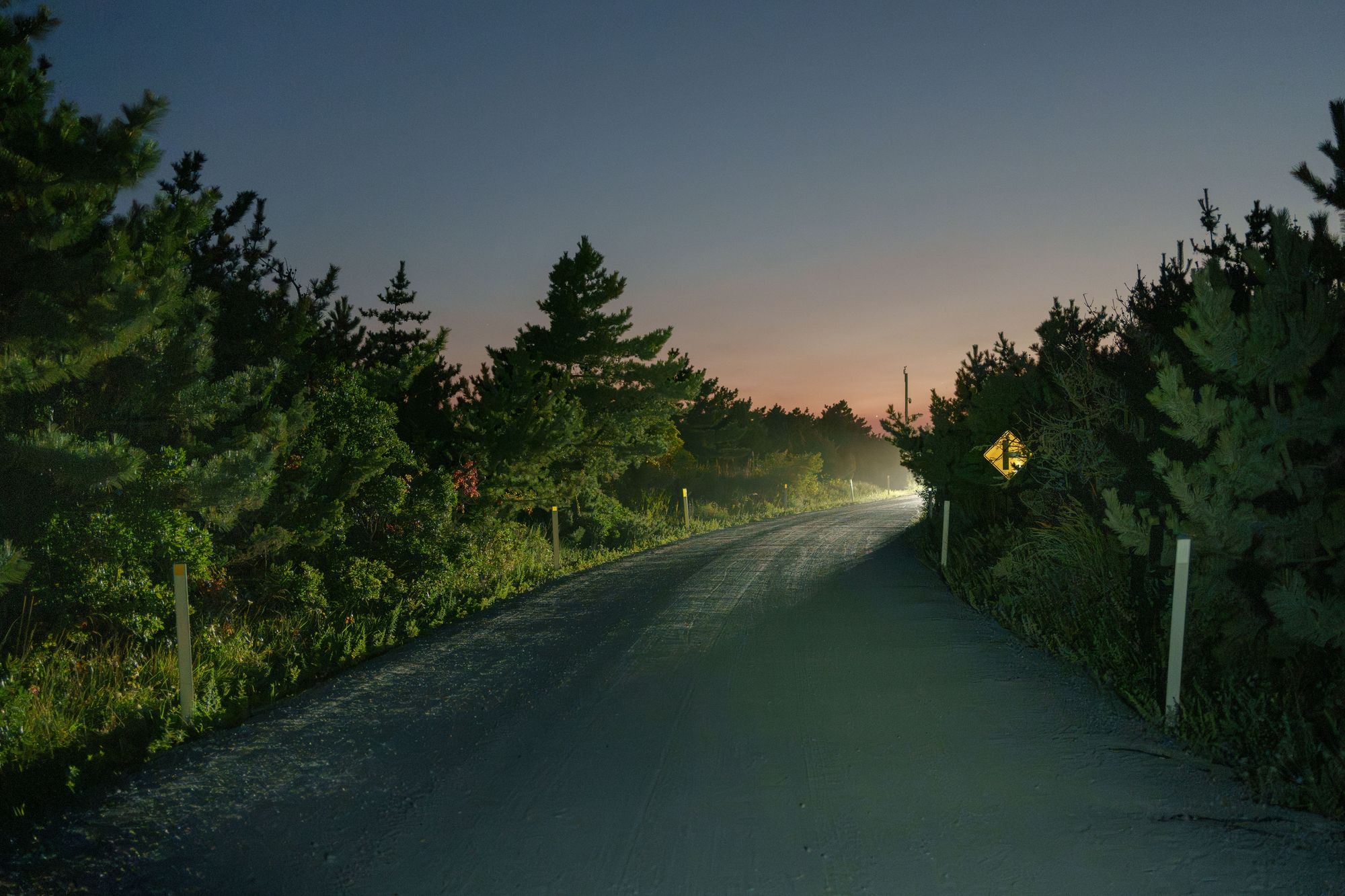 Burma Road, Fire Island 06