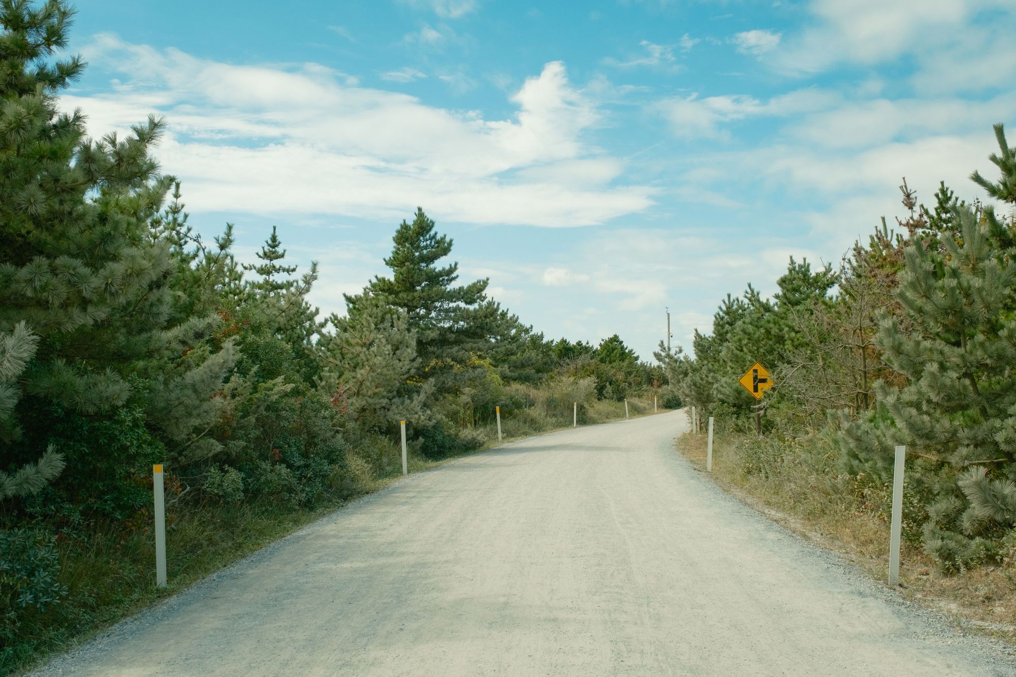 Burma Road, Fire Island 07