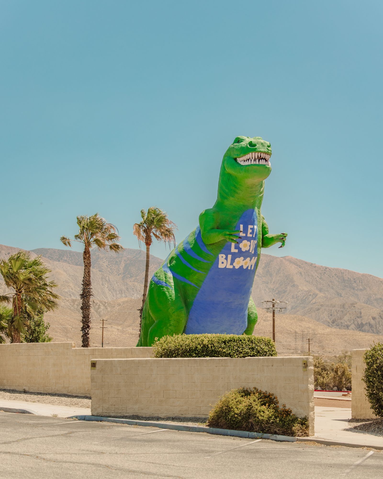 Cabazon Dinosaurs 10