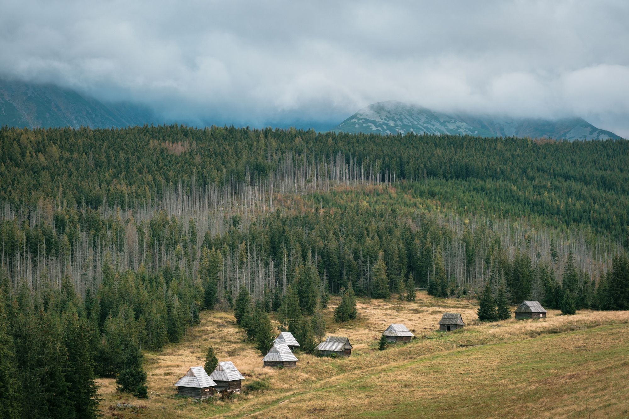 Cabins at Kopieniec Wielki, Zakopane 02