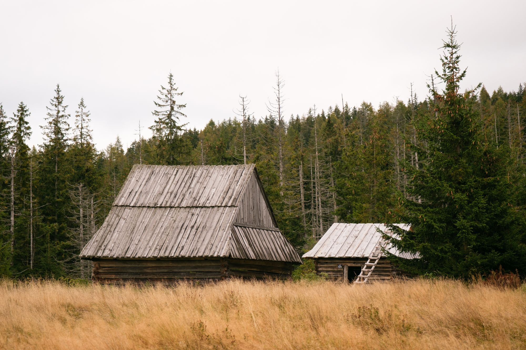 Cabins at Kopieniec Wielki, Zakopane 04
