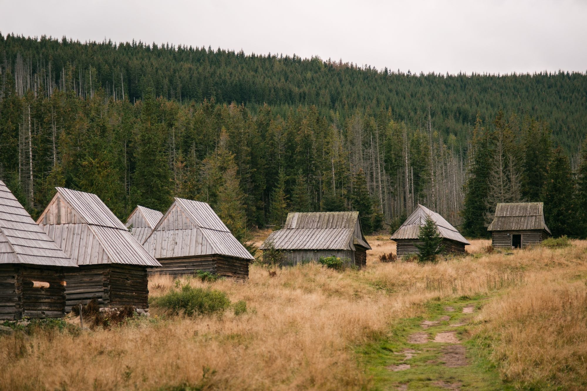 Cabins at Kopieniec Wielki, Zakopane 06
