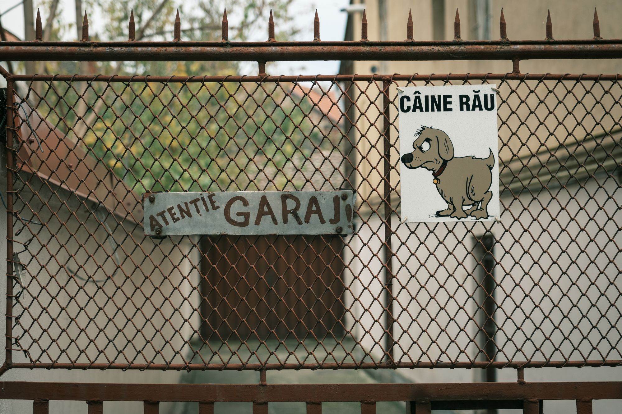 Caine Rau