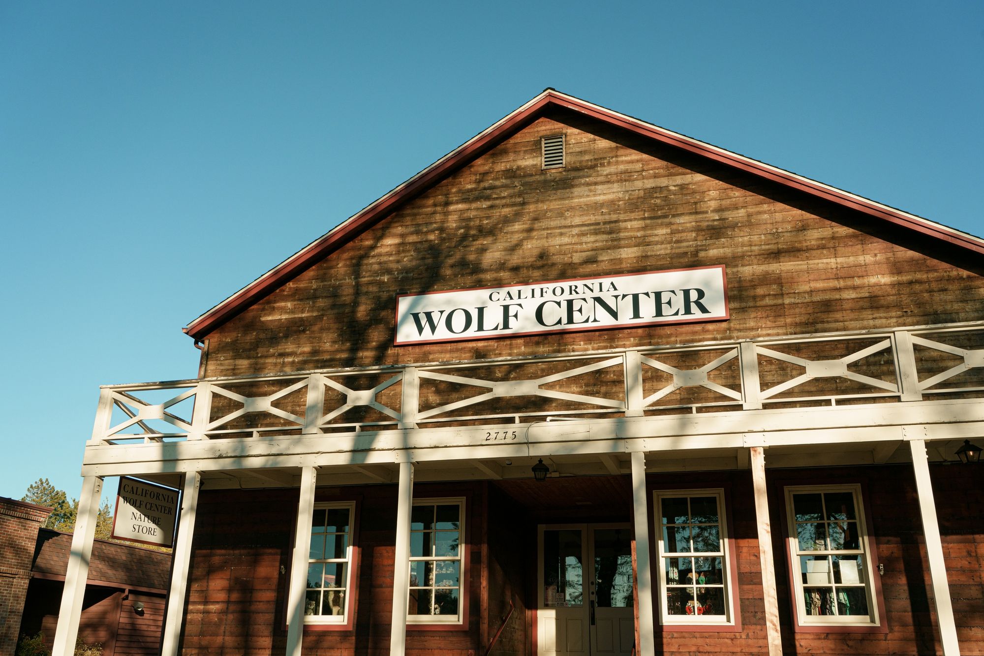California Wolf Center, Julian