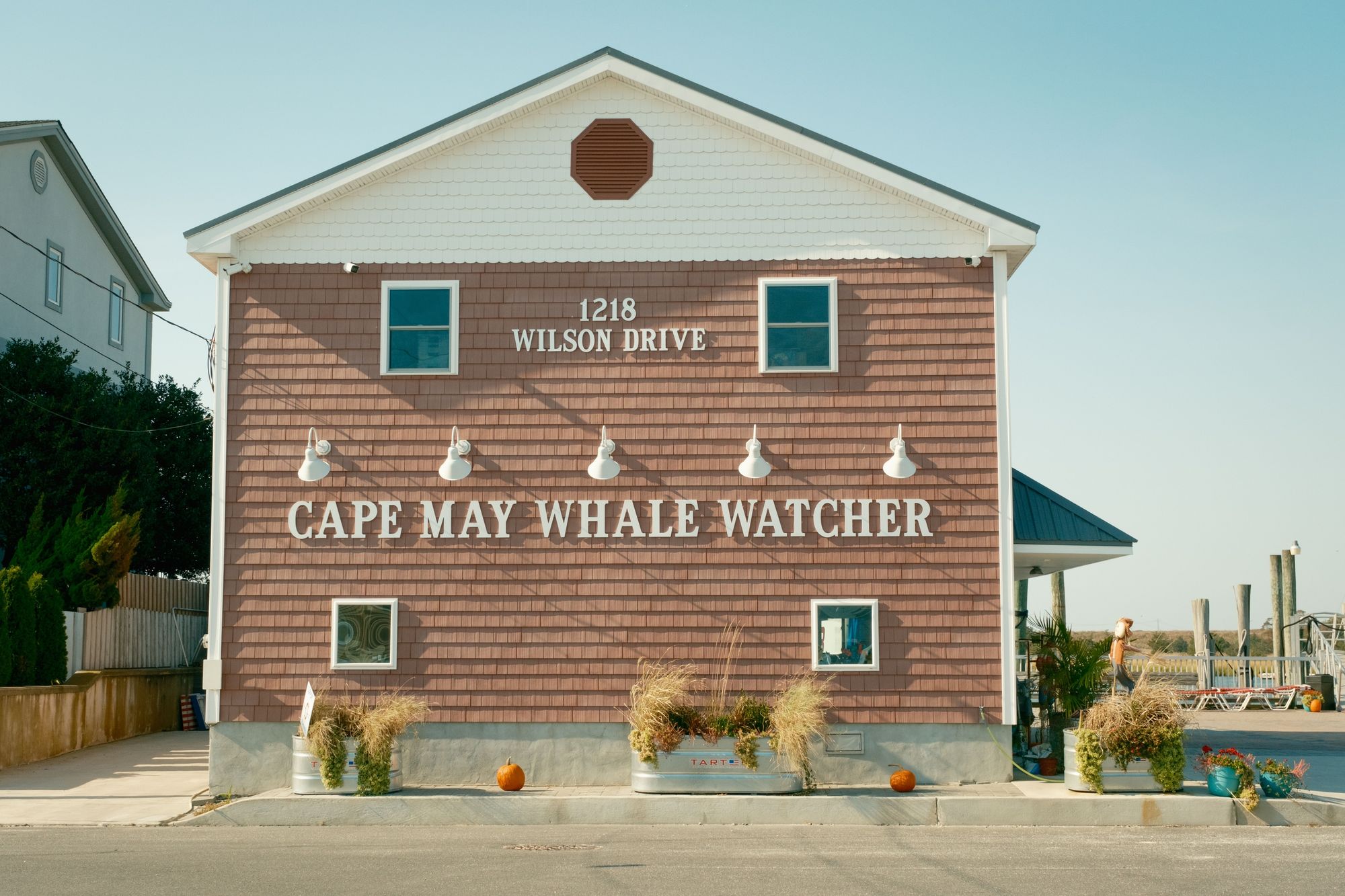 Cape May Whale Watcher