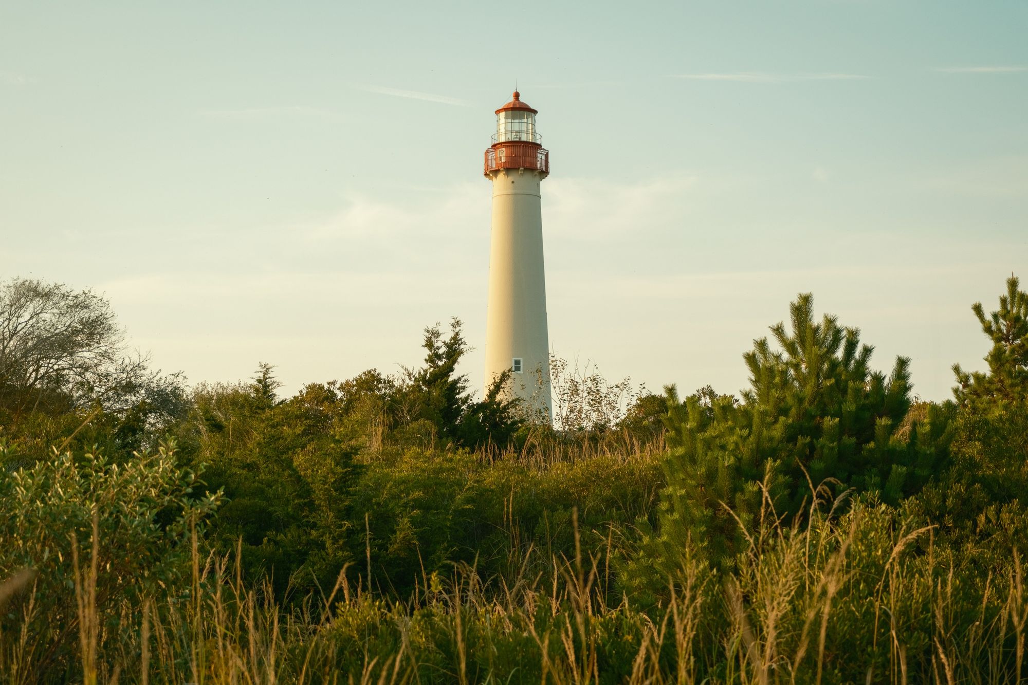 Cape May Lighthouse Through Trees