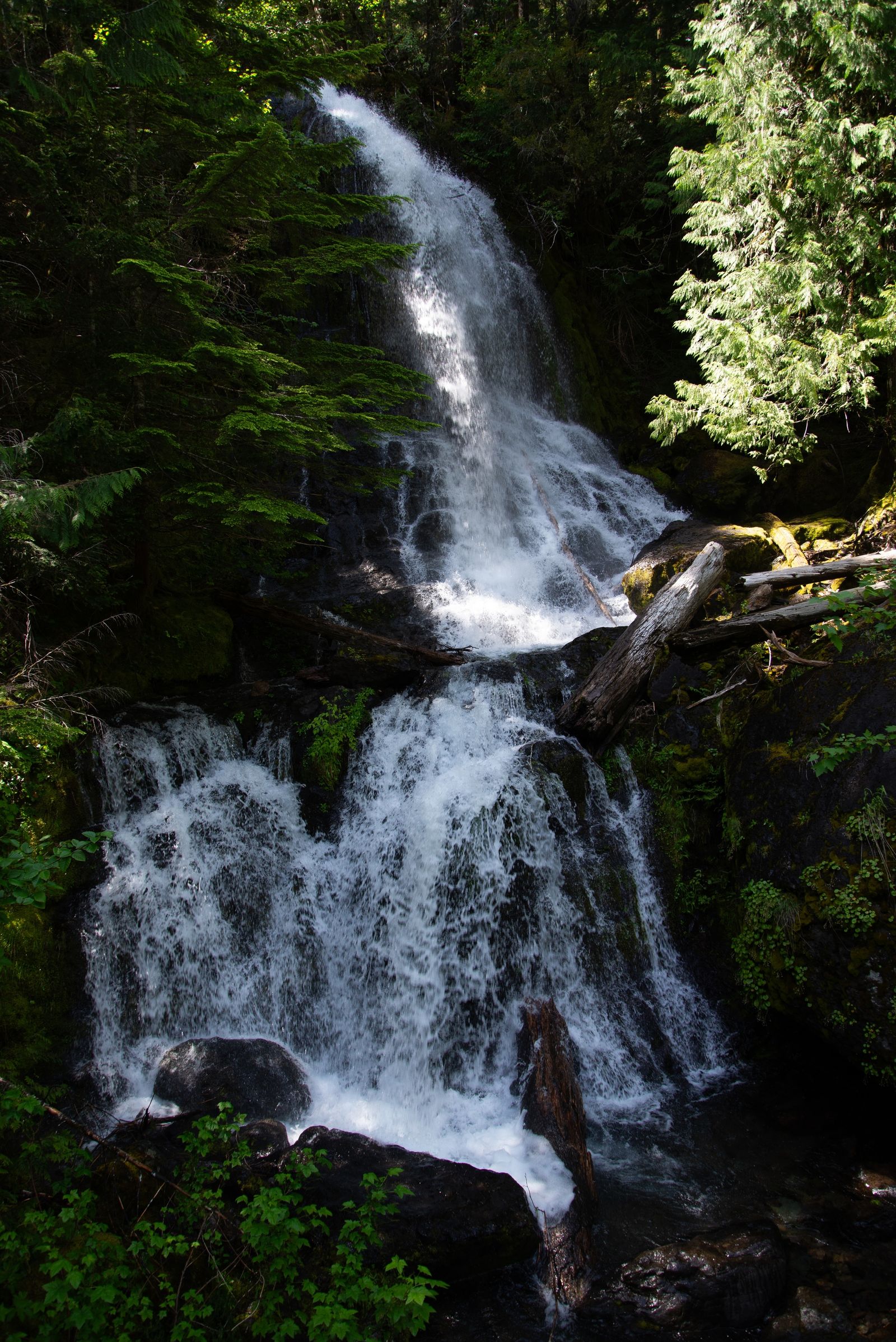 Cascading Serenity