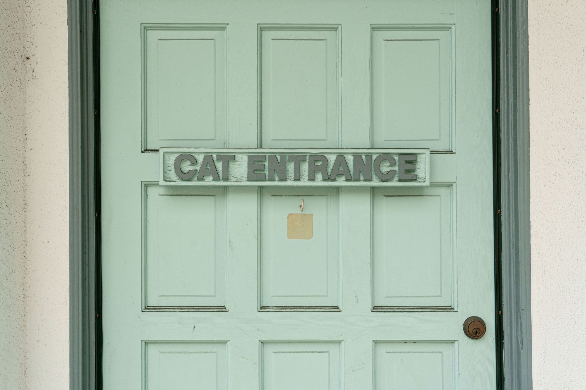 Cat Entrance