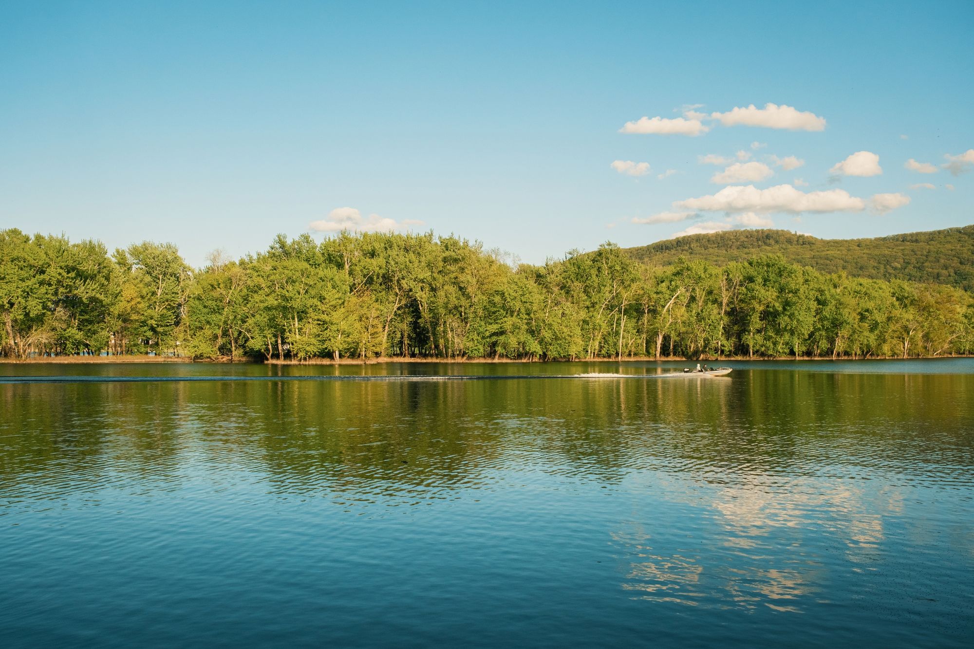 Connecticut River at The Oxbow, Northampton 01