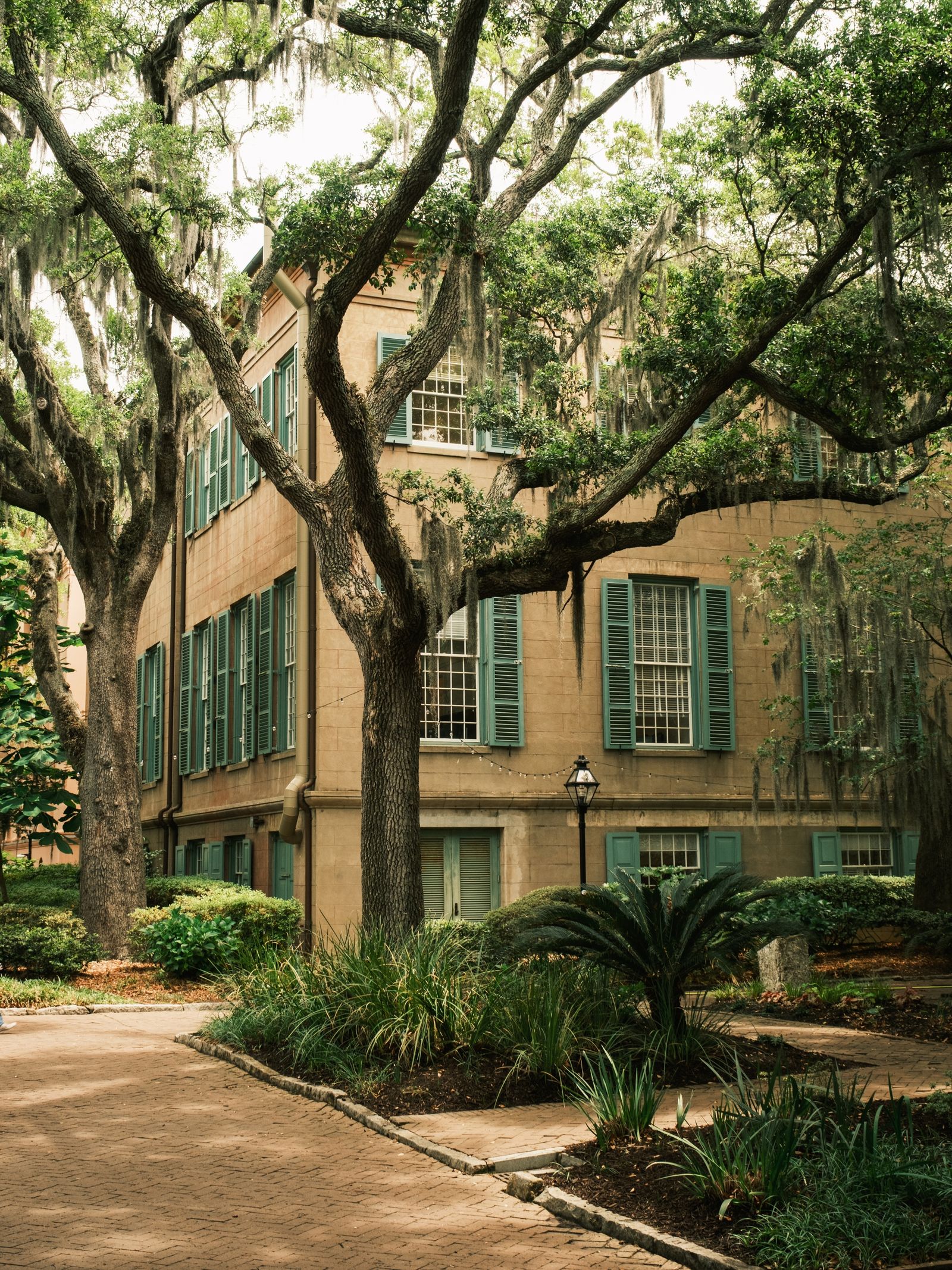 College of Charleston