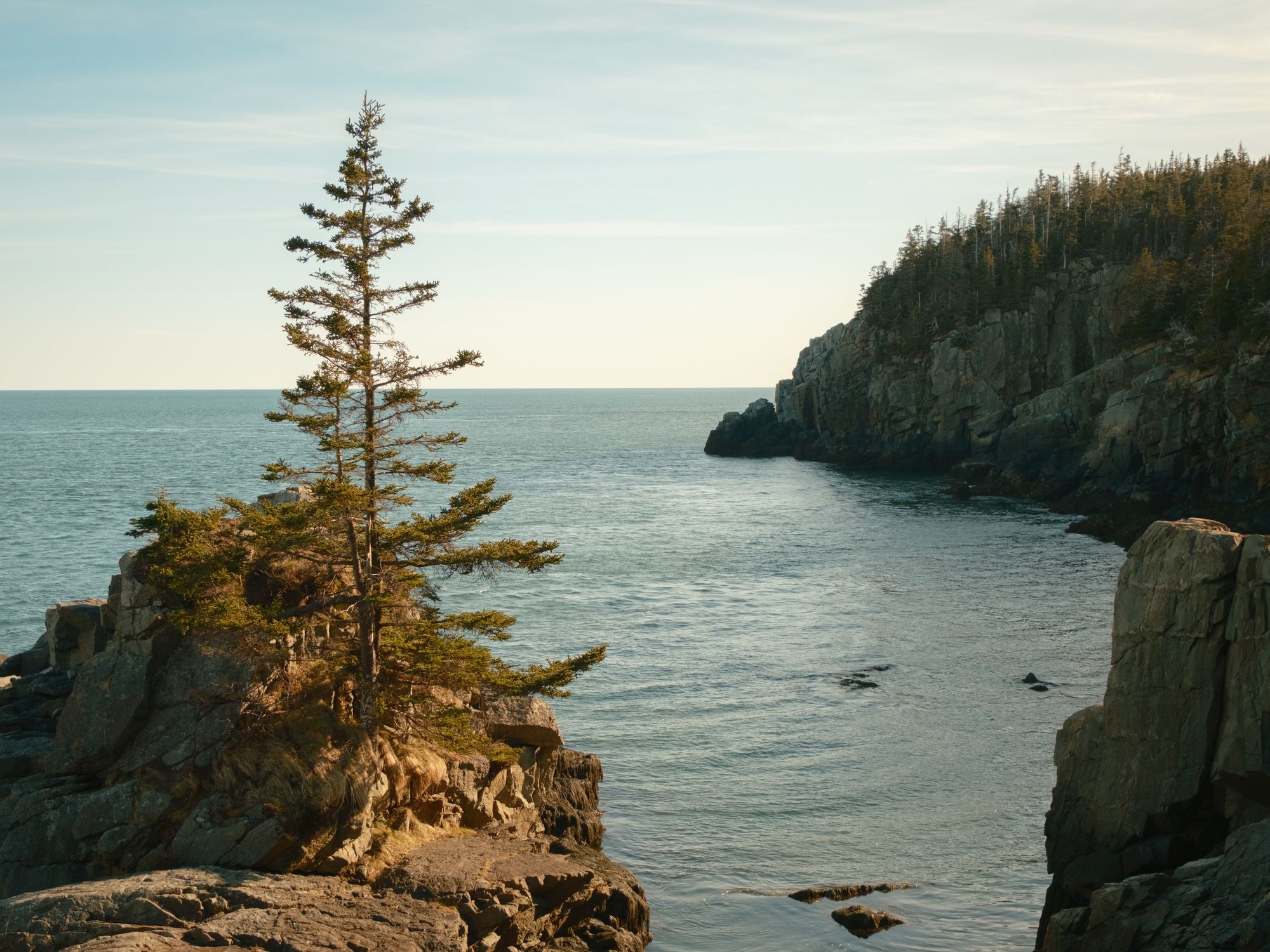 Cliffs at Quoddy Head